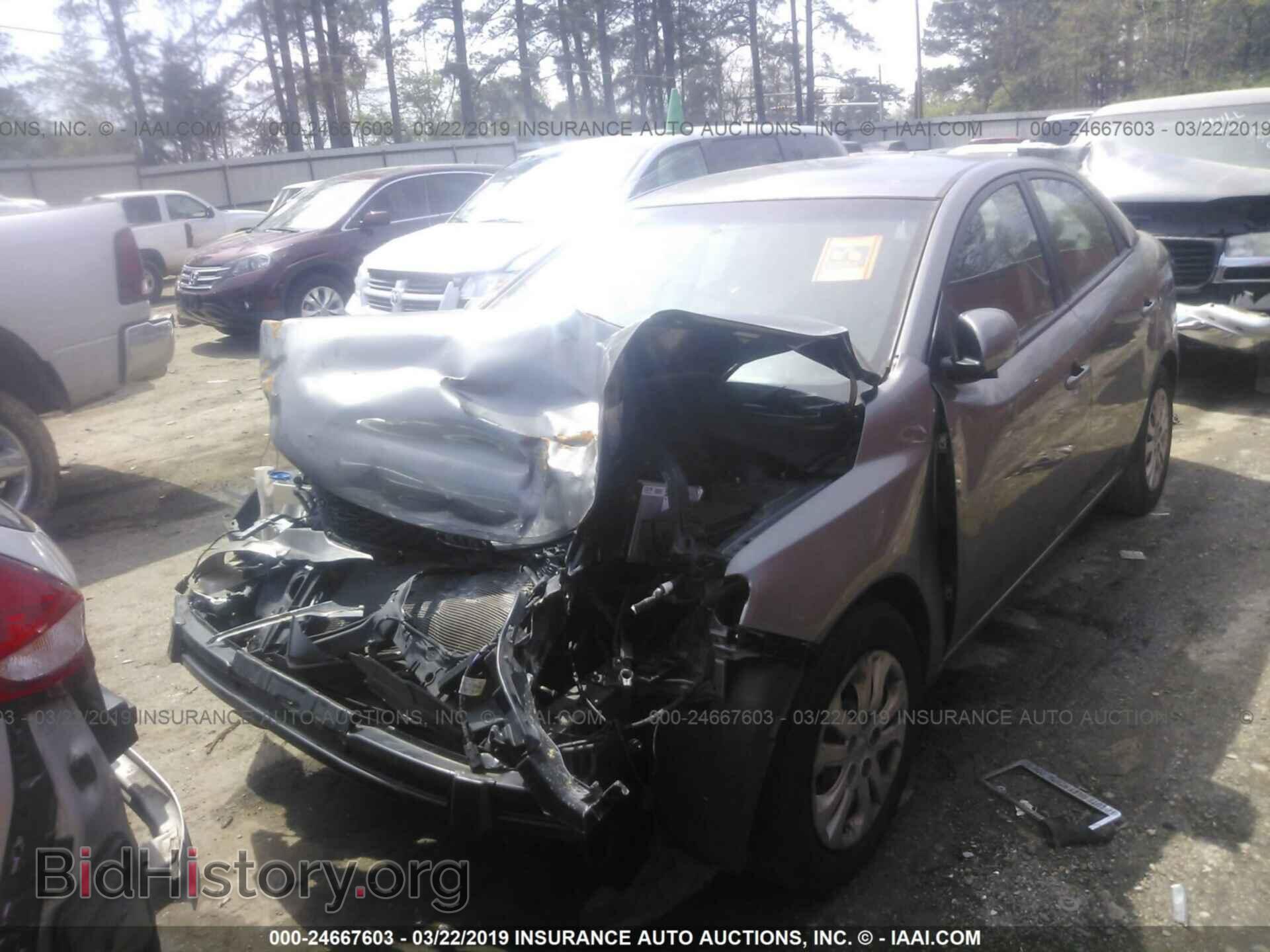 2012 KIA FORTE - VIN: KNAFU4A25C5562437 - Фото 2