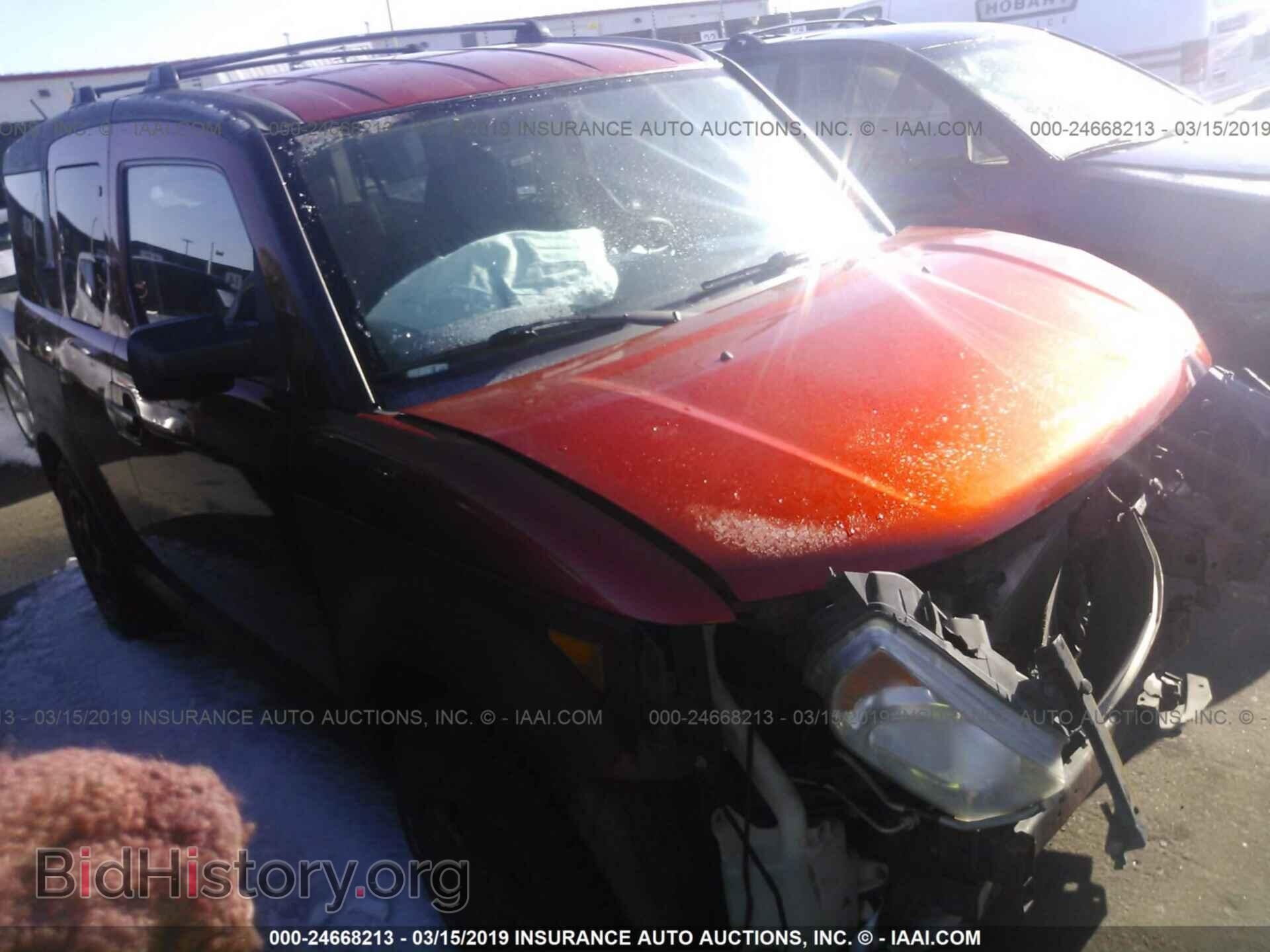 Photo 5J6YH28335L012729 - HONDA ELEMENT 2005