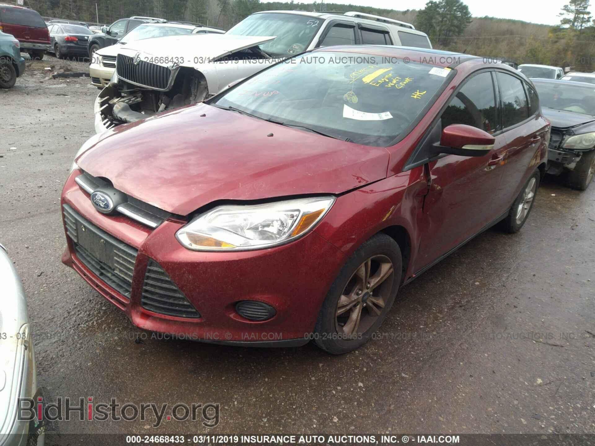 2013 FORD FOCUS - VIN: 1FADP3K24DL203254 - Фото 2