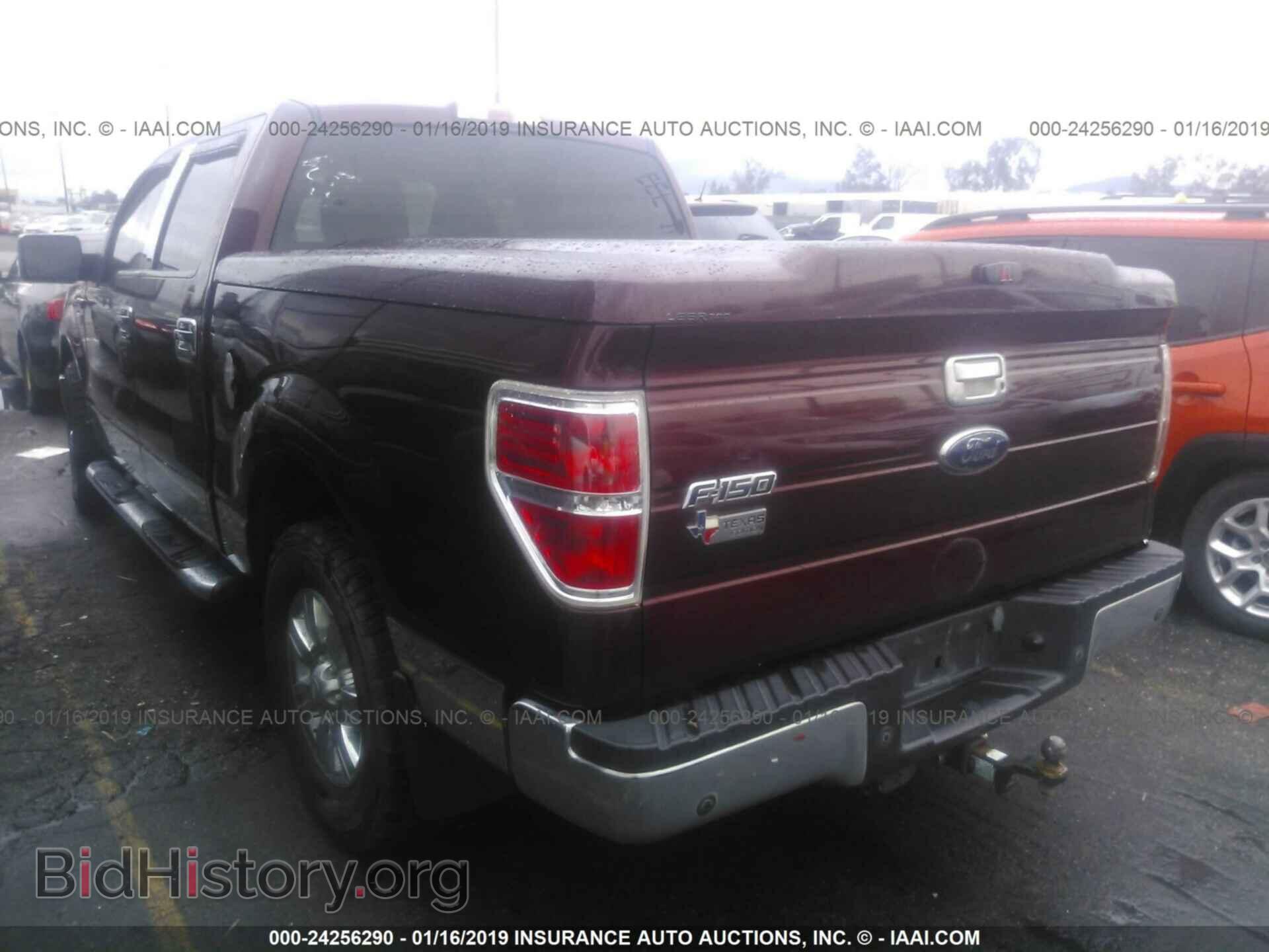 2010 FORD F150 - VIN: 1FTEW1C87AKA75103 - Фото 3