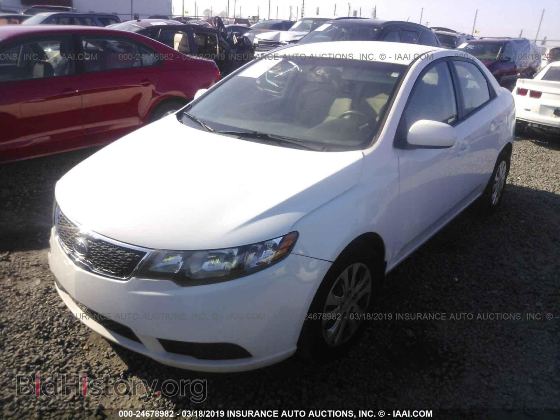 2013 KIA FORTE - VIN: KNAFT4A21D5648834 - Фото 2