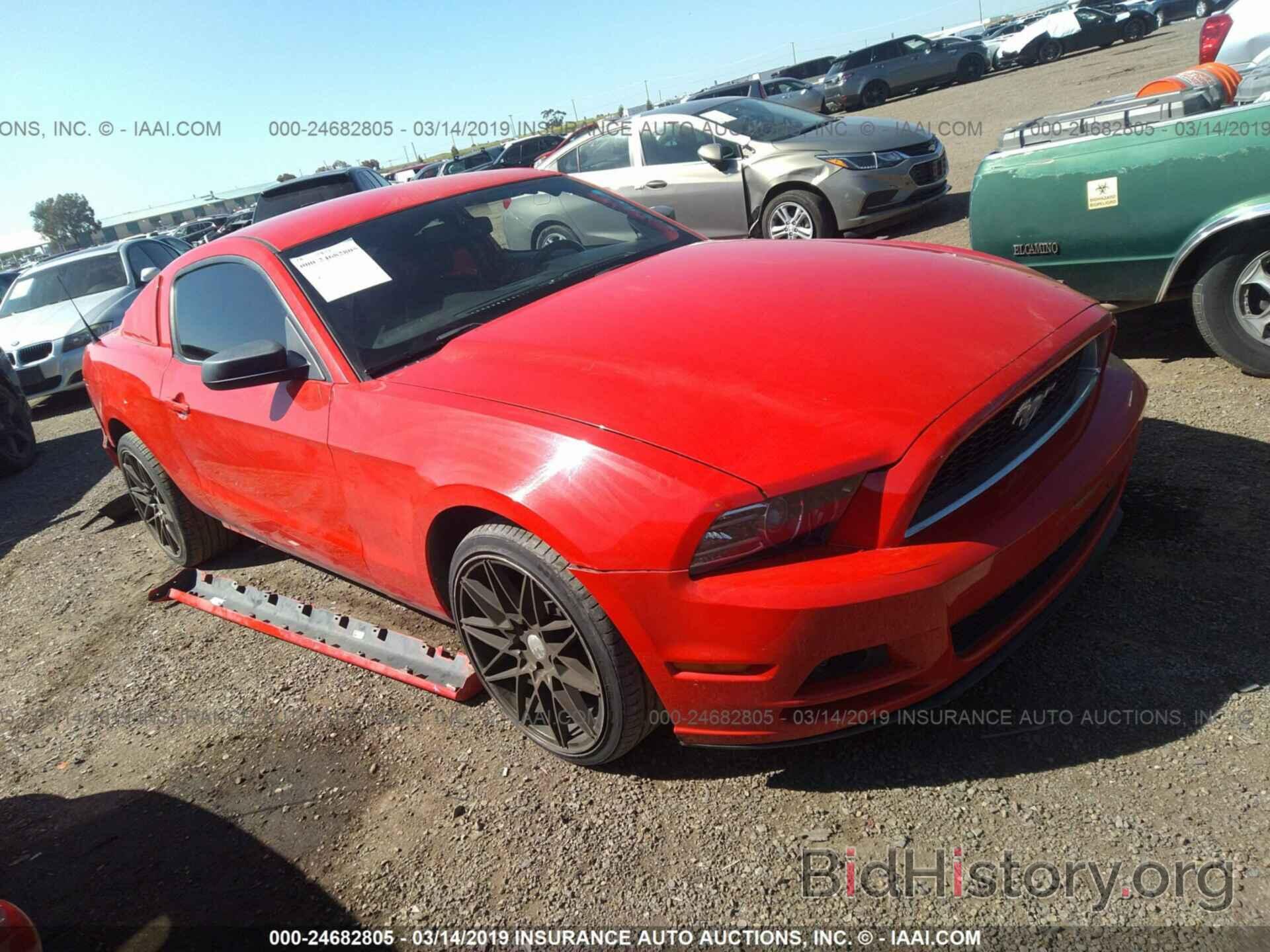 Photo 1ZVBP8AM2D5246526 - FORD MUSTANG 2013