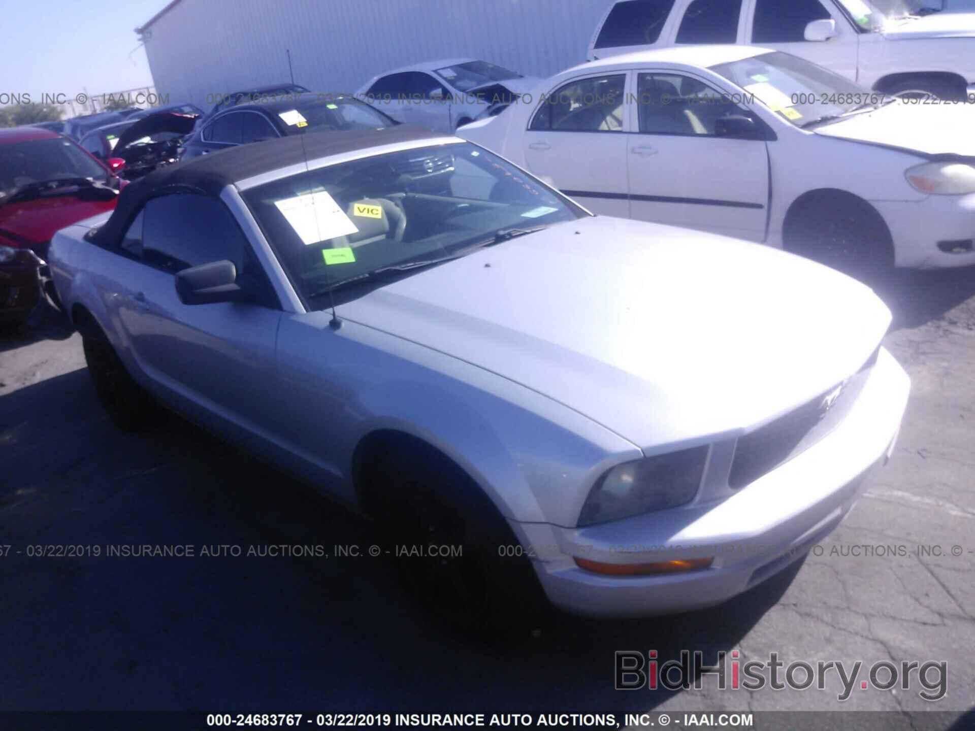 Photo 1ZVHT84N785194066 - FORD MUSTANG 2008