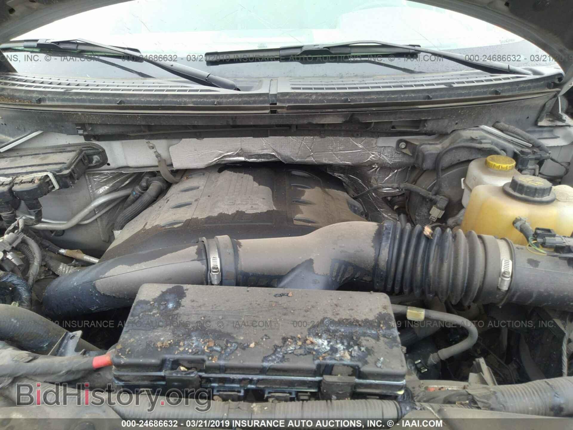 2013 FORD F150 - VIN: 1FTFW1ET9DFD79455 - Фото 10