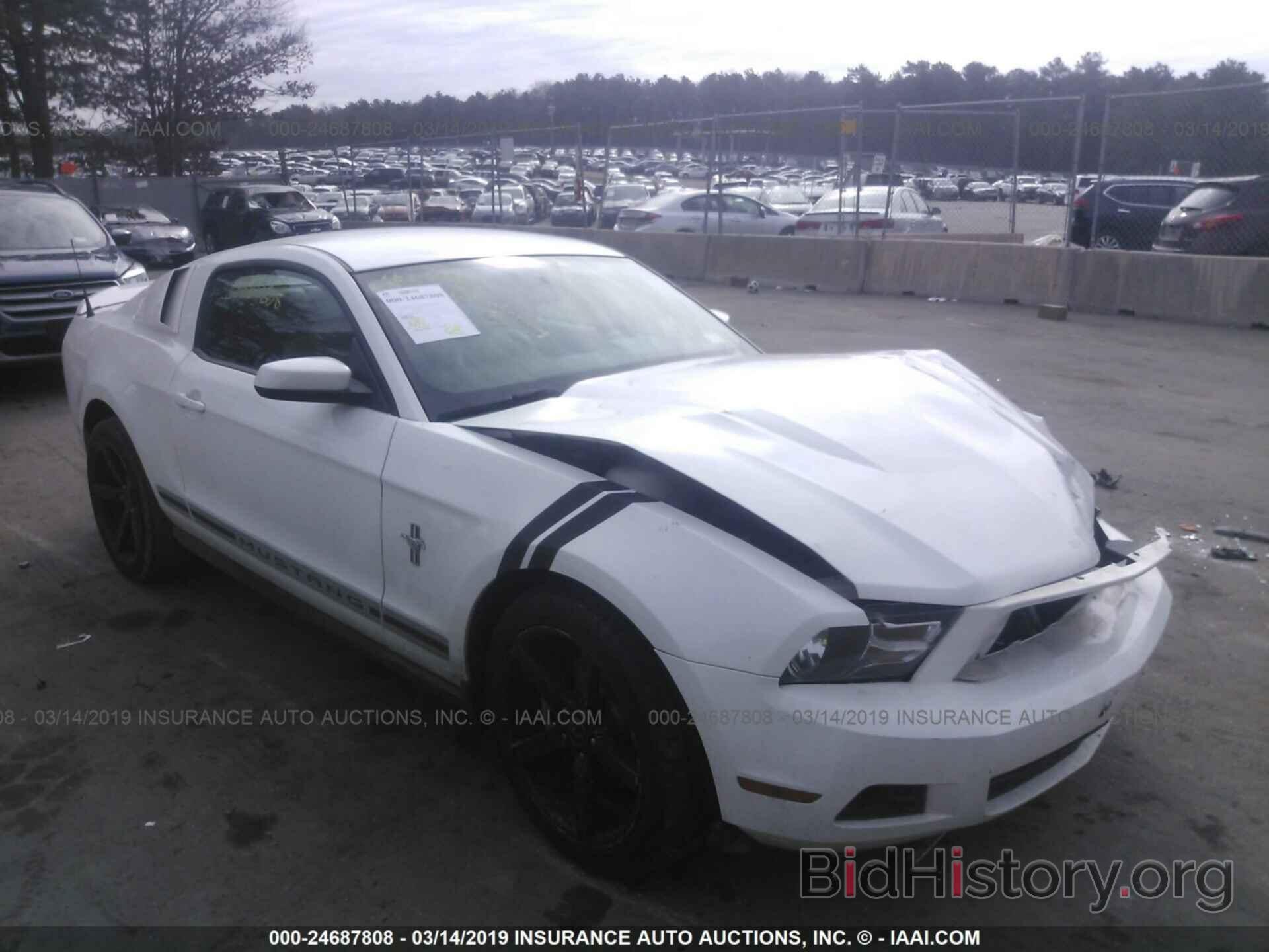 Photo 1ZVBP8AM9C5233674 - FORD MUSTANG 2012