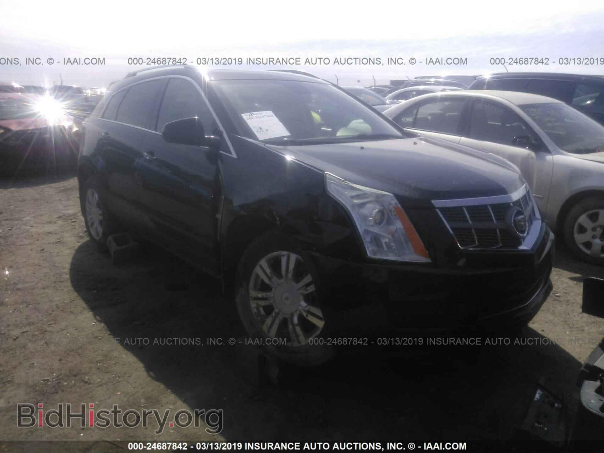 Photo 3GYFNAEY1BS648016 - CADILLAC SRX 2011