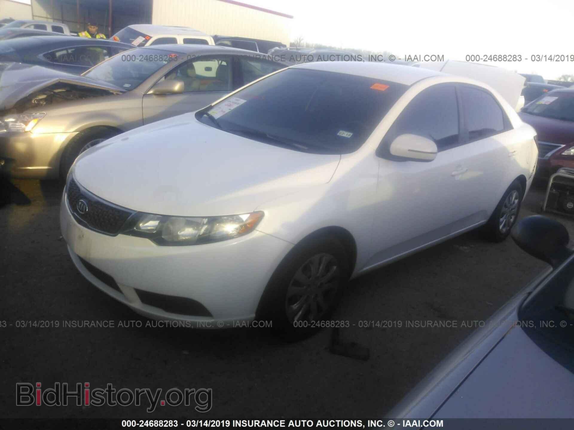 2012 KIA FORTE - VIN: KNAFU4A24C5555186 - Фото 2
