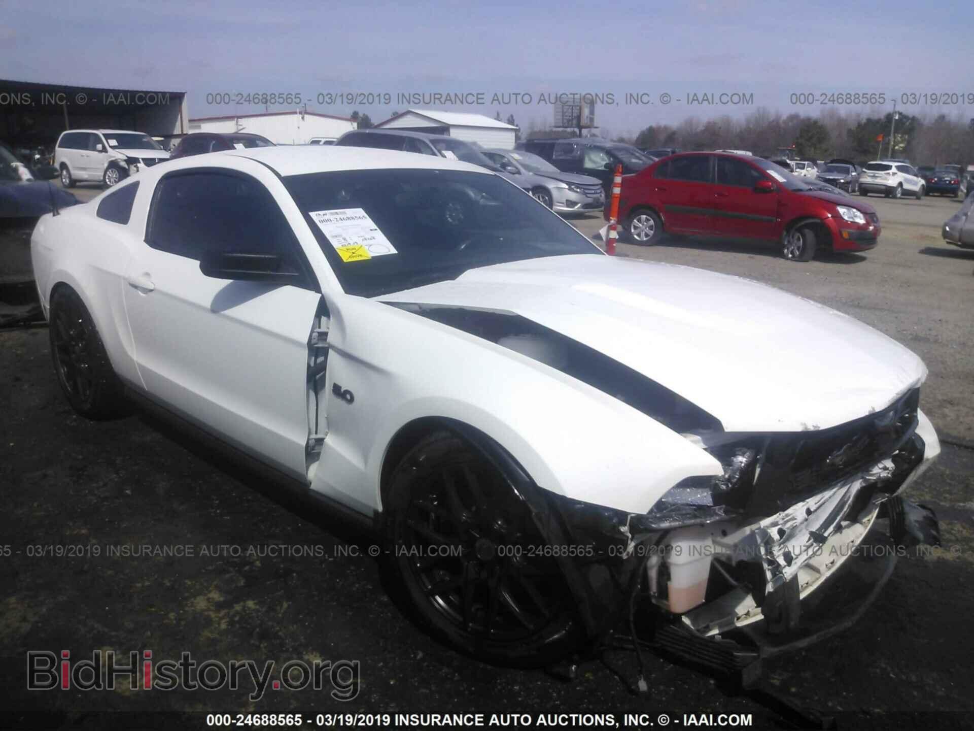 Фотография 1ZVBP8CF5C5216062 - FORD MUSTANG 2012