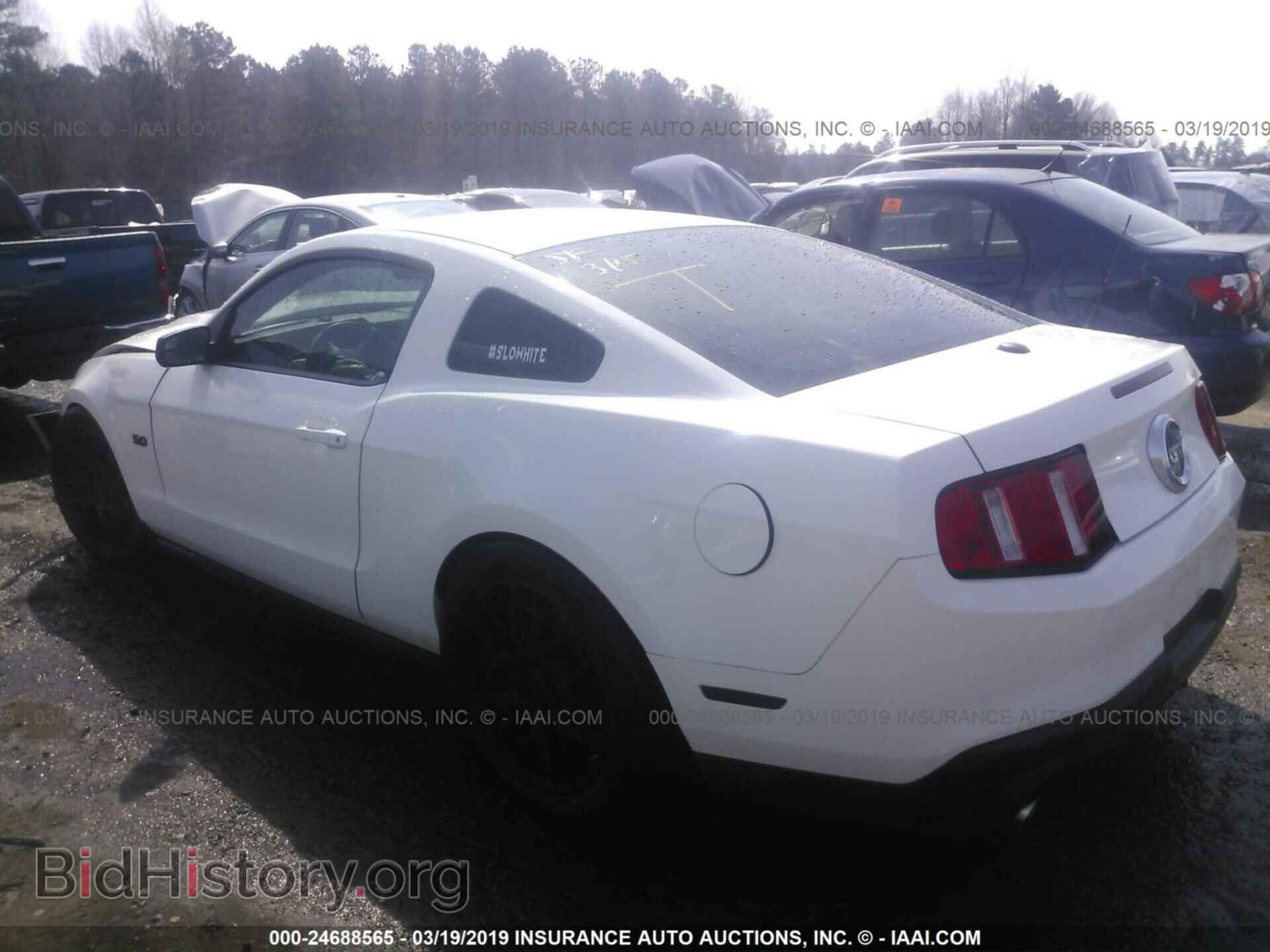 2012 FORD MUSTANG - VIN: 1ZVBP8CF5C5216062 - Фото 3