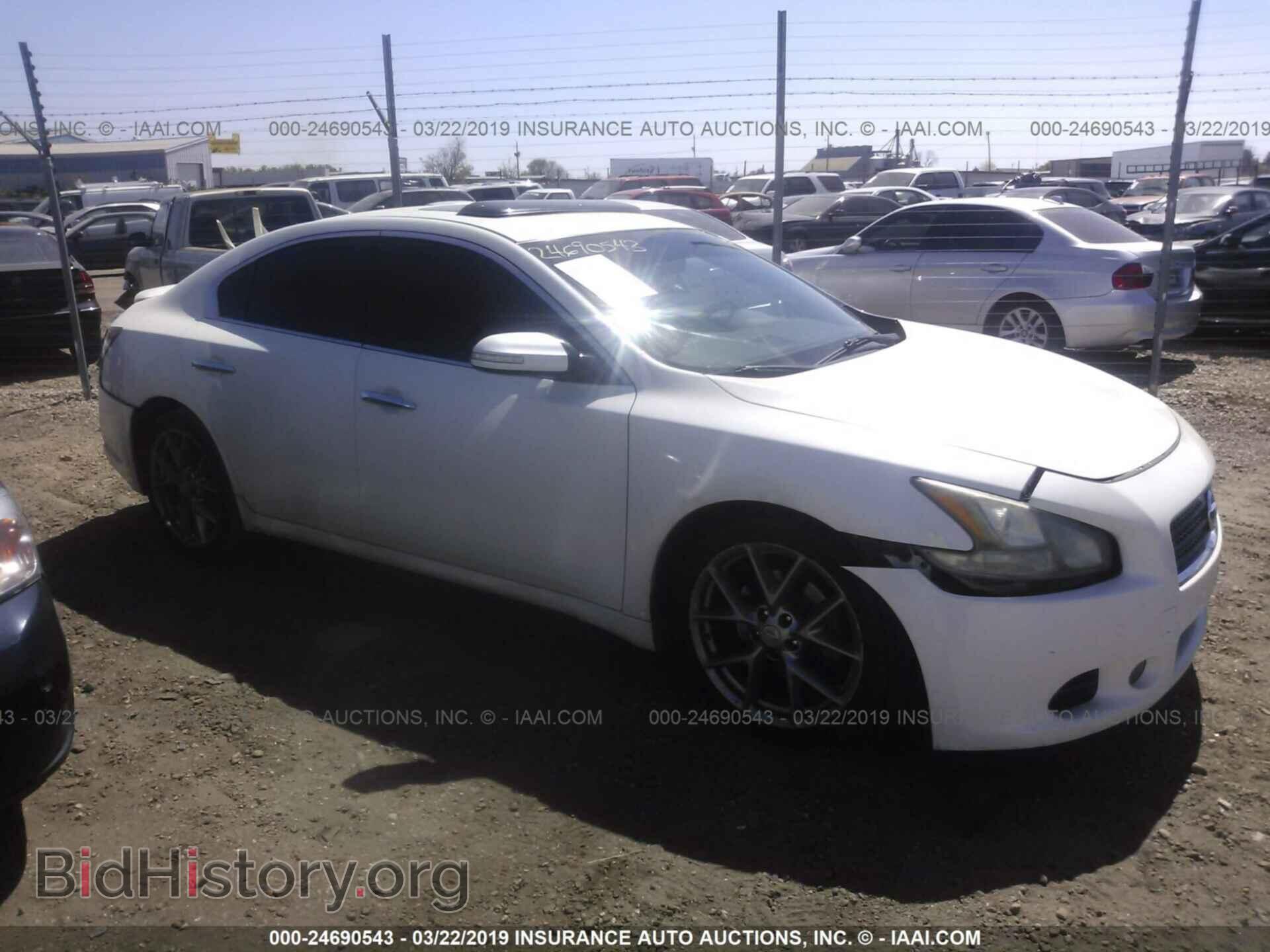 Photo 1N4AA5AP7BC854940 - NISSAN MAXIMA 2011