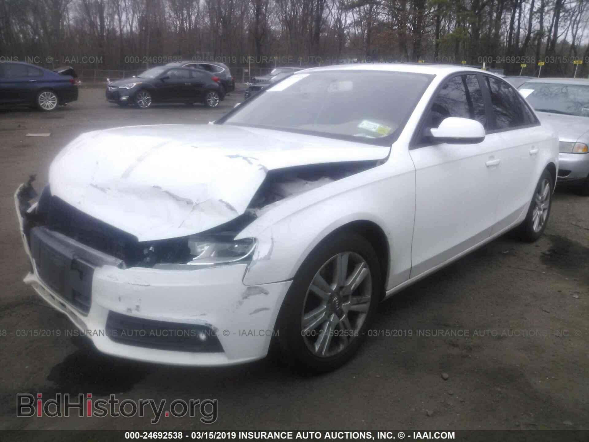 2010 AUDI A4 - VIN: WAUBFAFL1AN002775 - Фото 2
