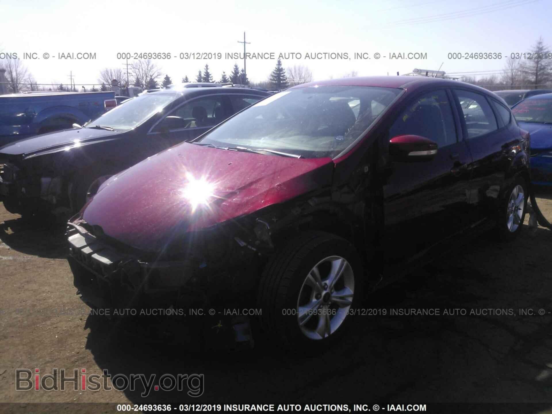2013 FORD FOCUS - VIN: 1FADP3K2XDL219605 - Фото 2