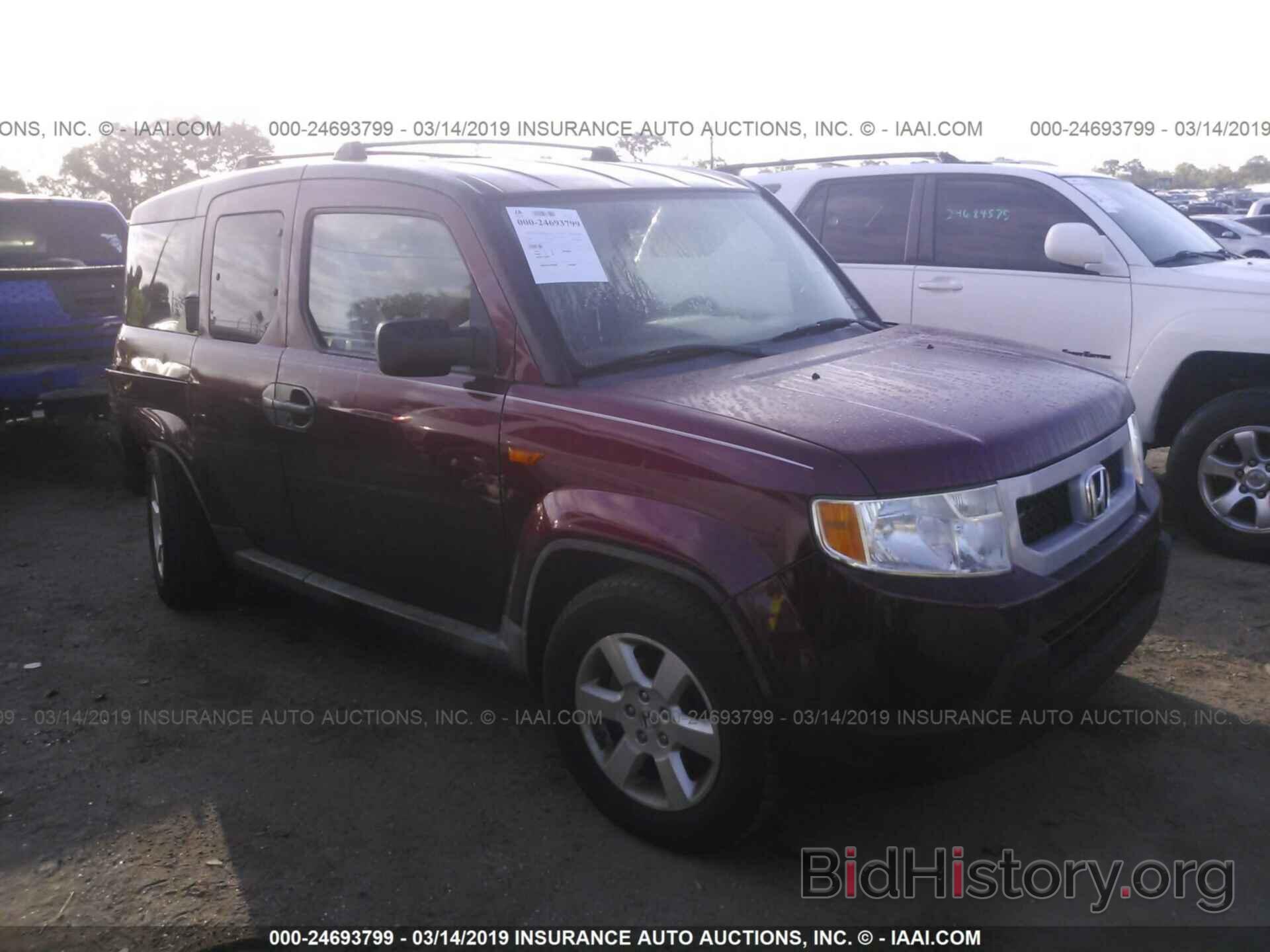 Photo 5J6YH28789L005669 - HONDA ELEMENT 2009