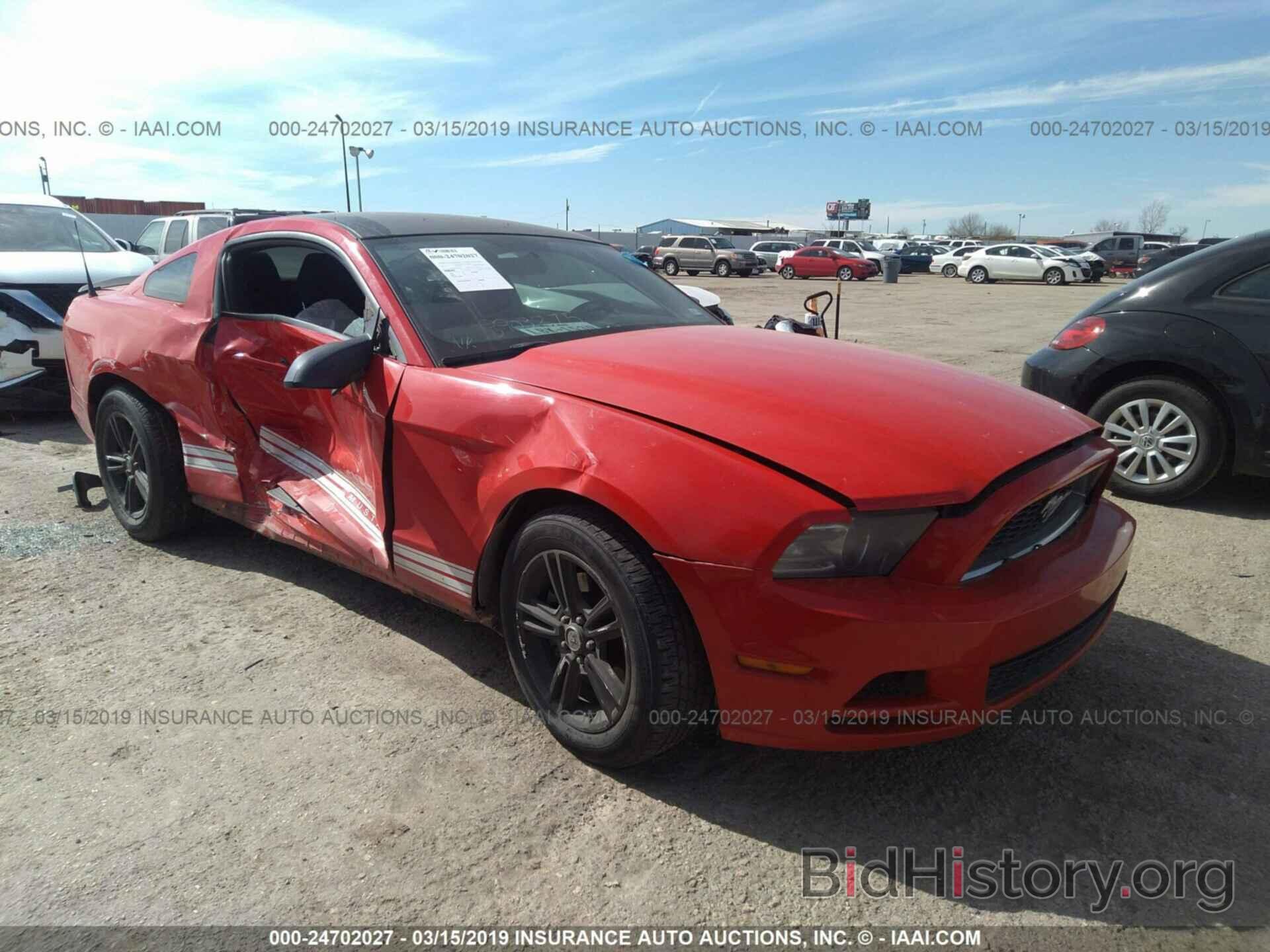Photo 1ZVBP8AM0D5206266 - FORD MUSTANG 2013