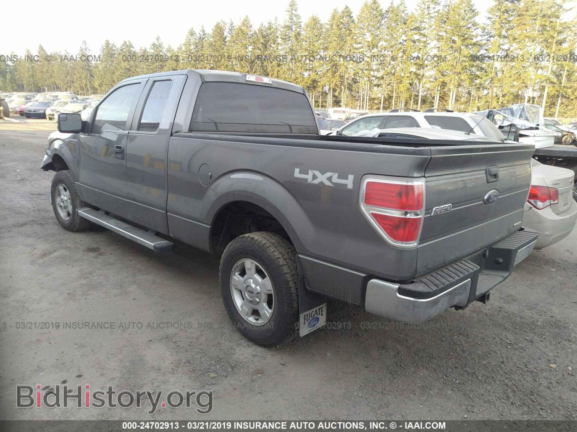 2013 FORD F150 - VIN: 1FTFX1EF6DFA68296 - Фото 3