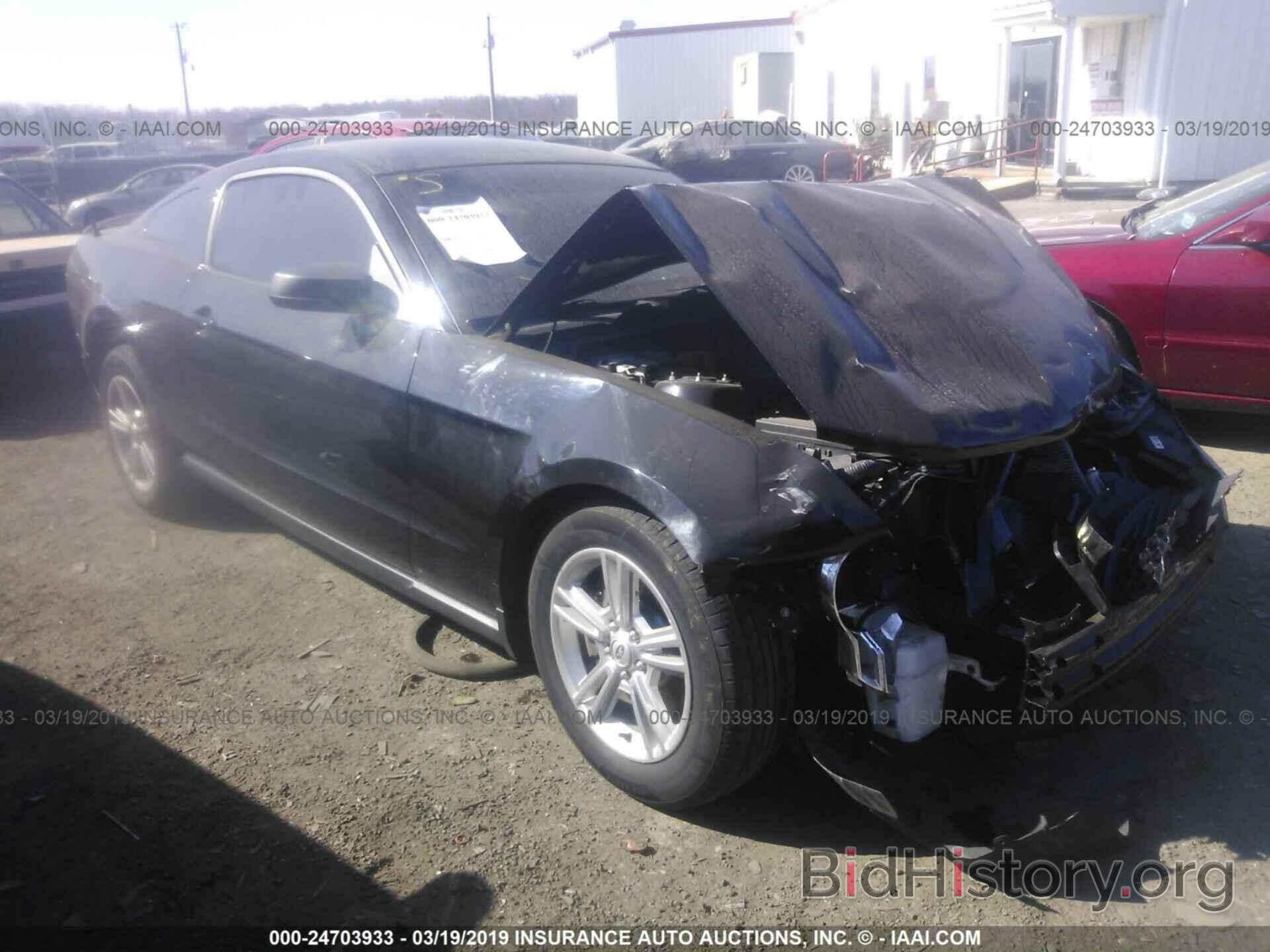 Photo 1ZVBP8AMXC5208704 - FORD MUSTANG 2012