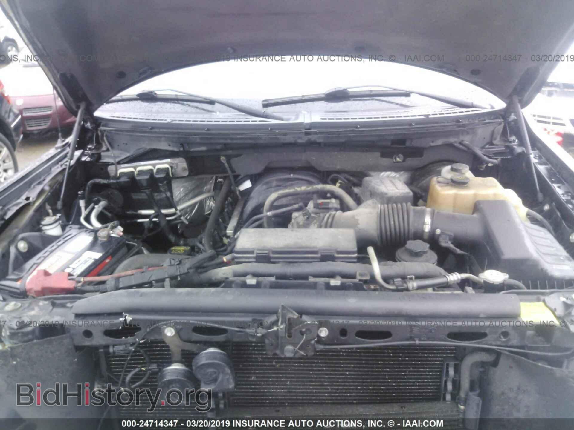 2010 FORD F150 - VIN: 1FTEX1C83AFD54196 - Фото 10
