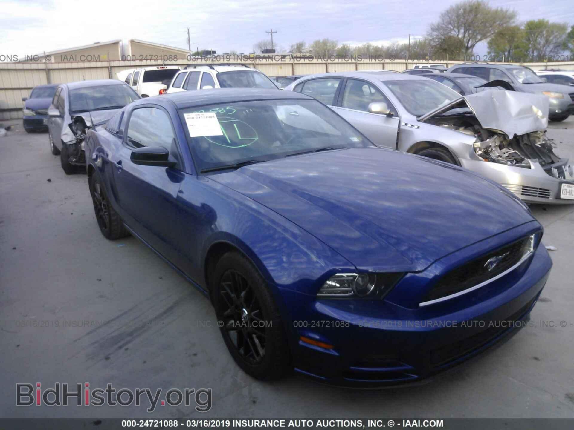 Фотография 1ZVBP8AM4E5267864 - FORD MUSTANG 2014