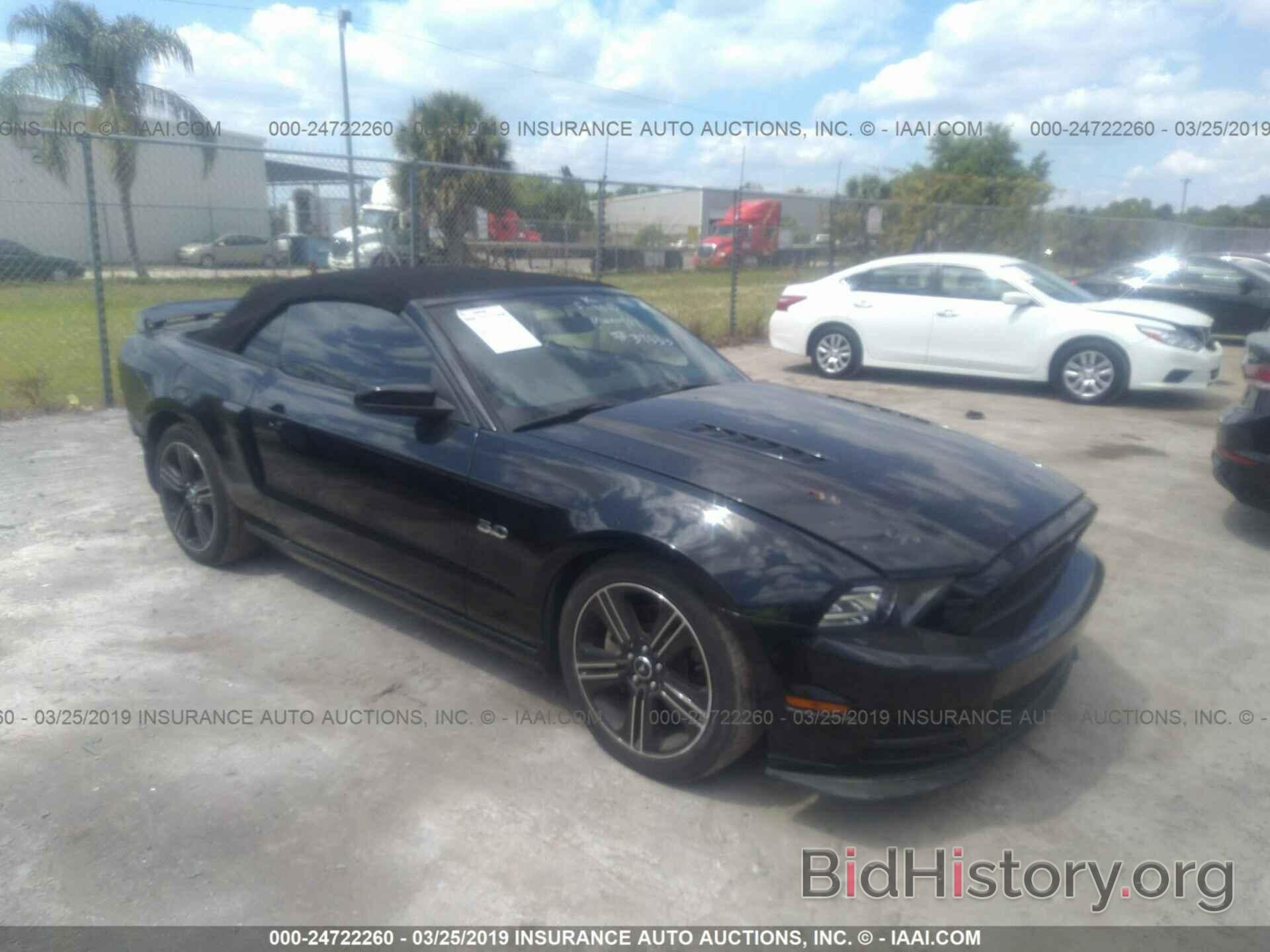 Photo 1ZVBP8FF8D5202119 - FORD MUSTANG 2013