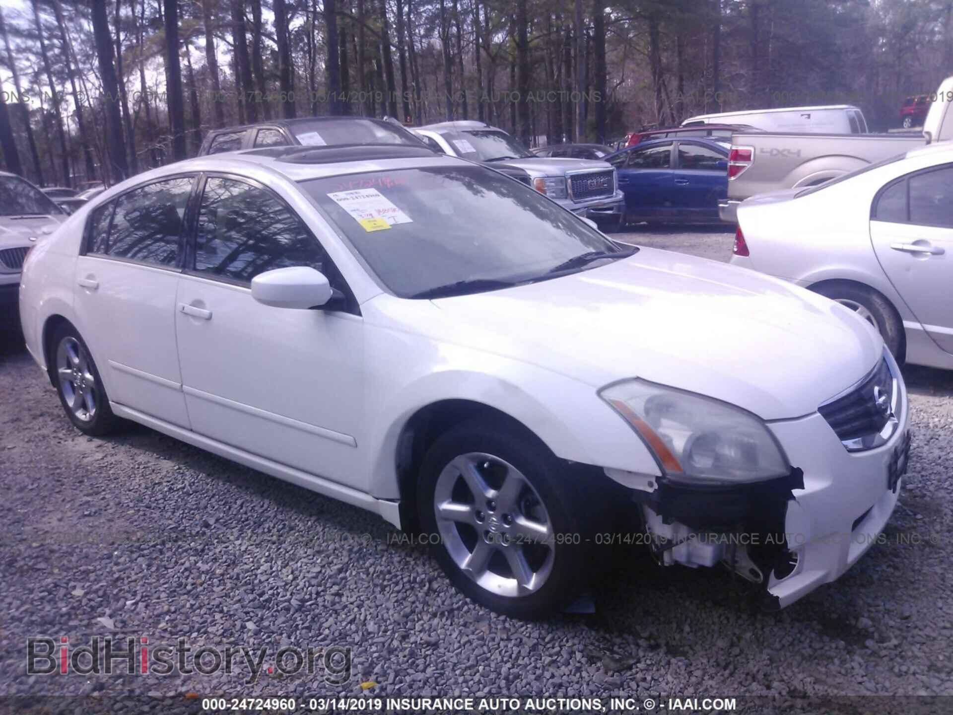 Photo 1N4BA41EX8C805950 - NISSAN MAXIMA 2008