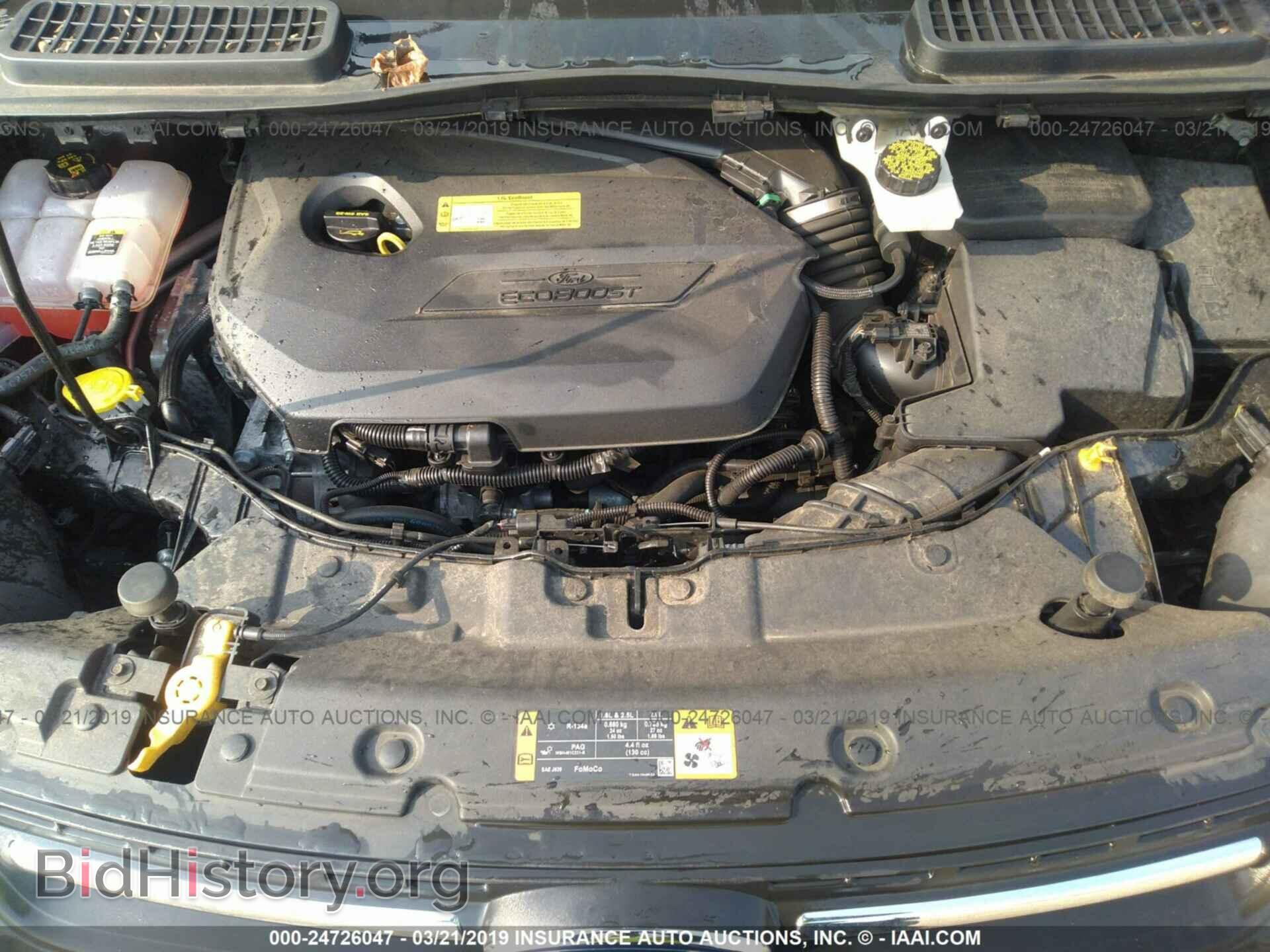2013 FORD ESCAPE - VIN: 1FMCU0GX1DUA45320 - Photo 10