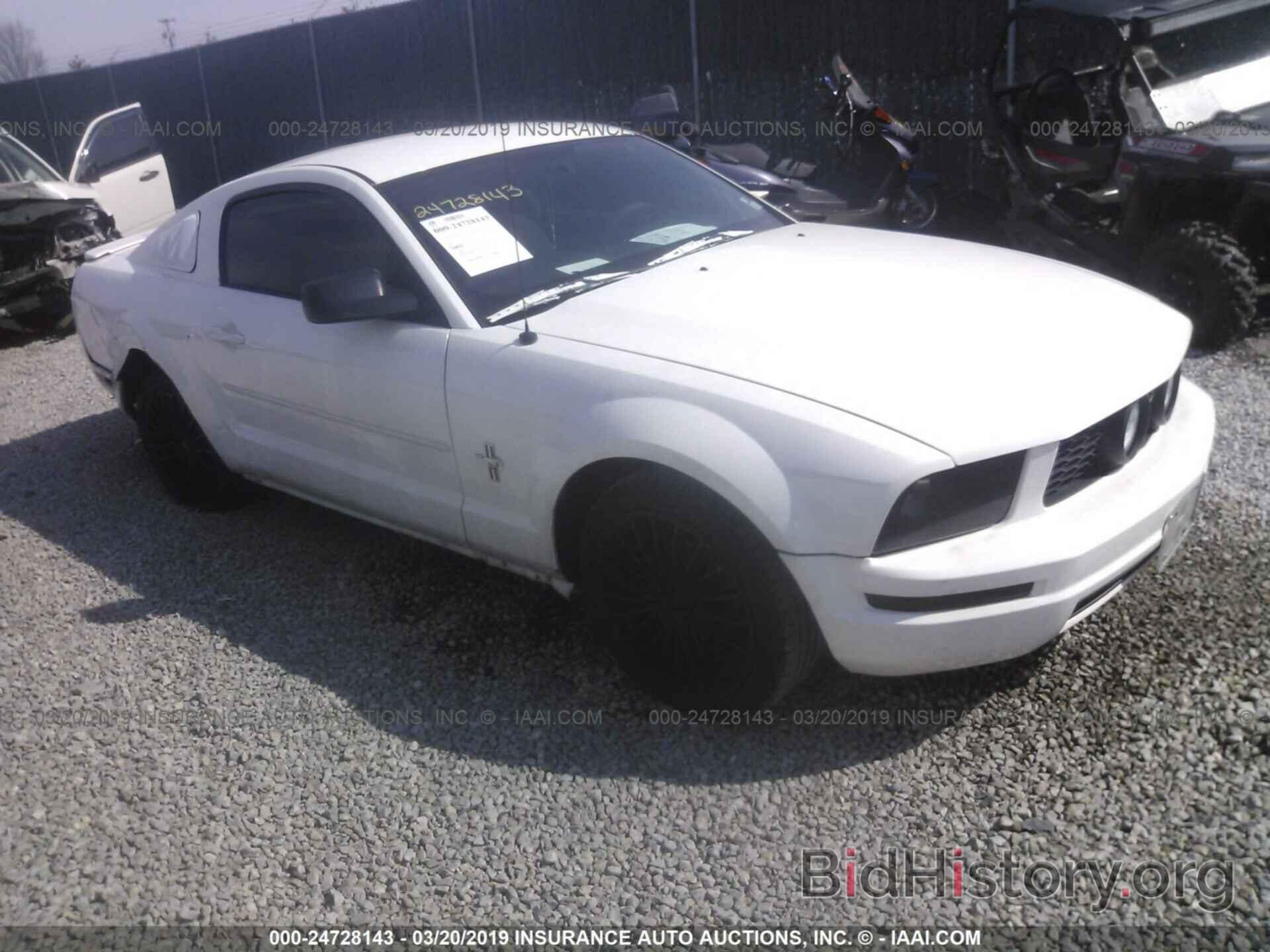 Photo 1ZVHT80N985207244 - FORD MUSTANG 2008