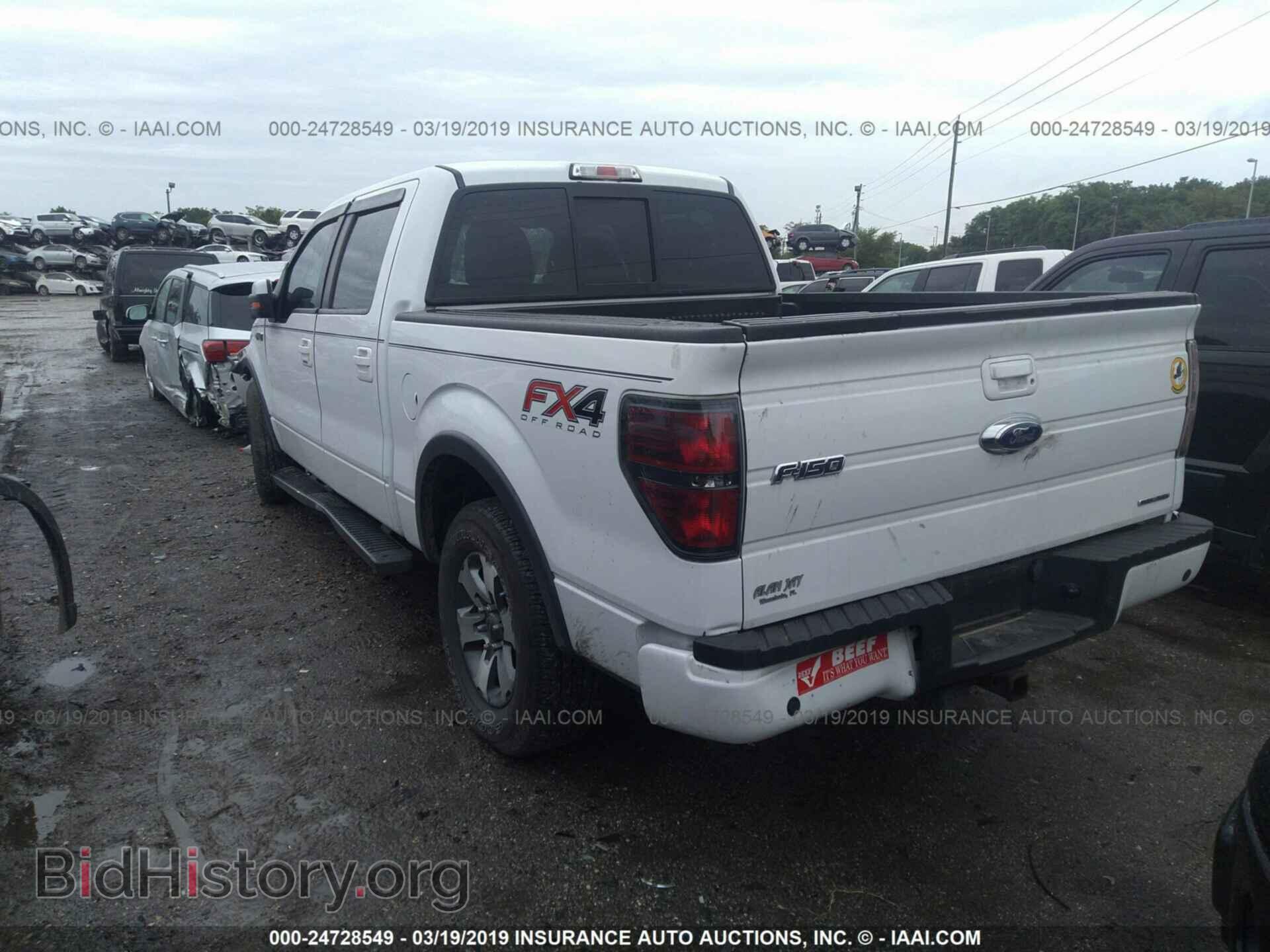 2013 FORD F150 - VIN: 1FTFW1EF5DFD23331 - Фото 3