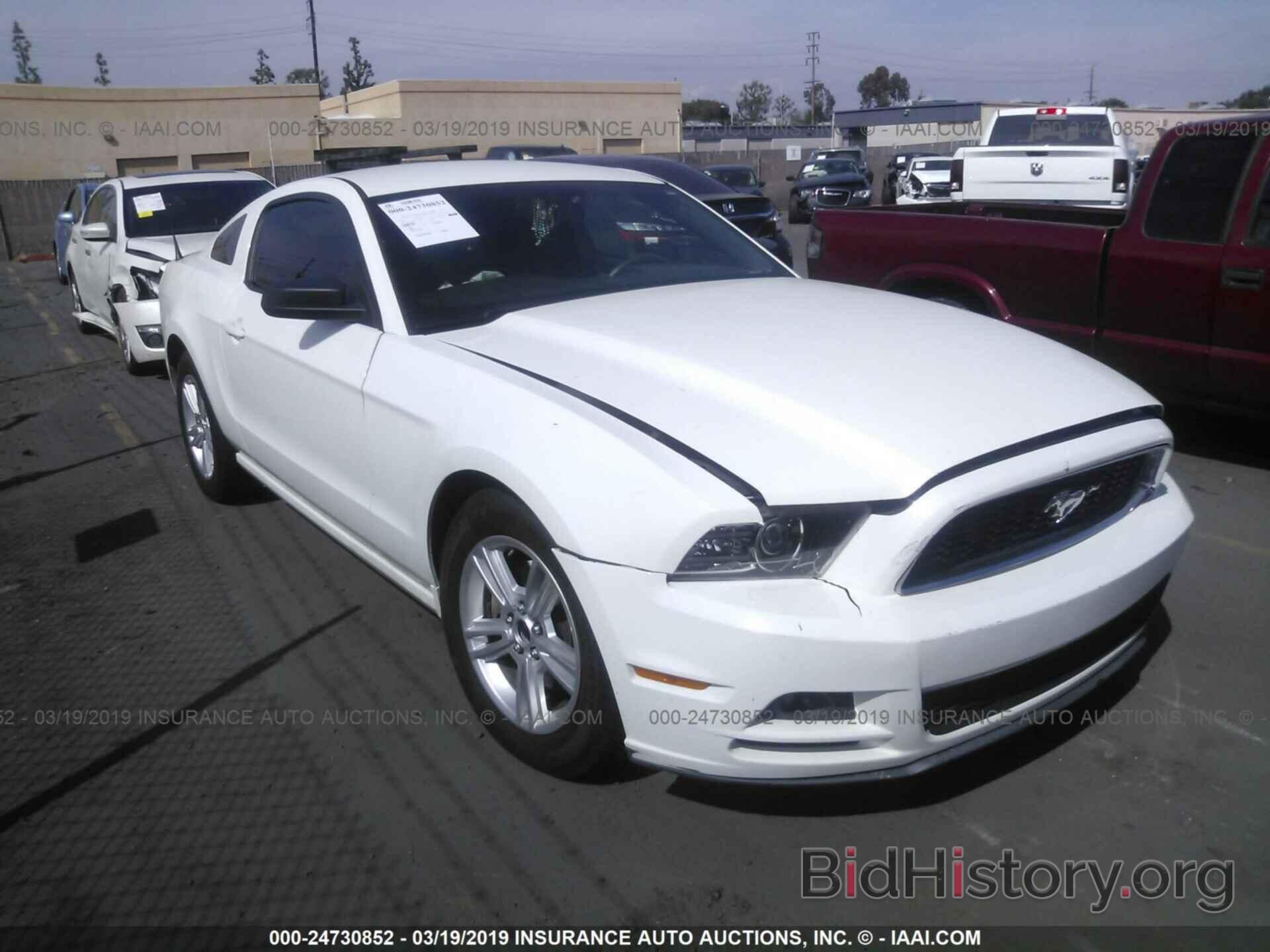 Photo 1ZVBP8AM8D5259586 - FORD MUSTANG 2013
