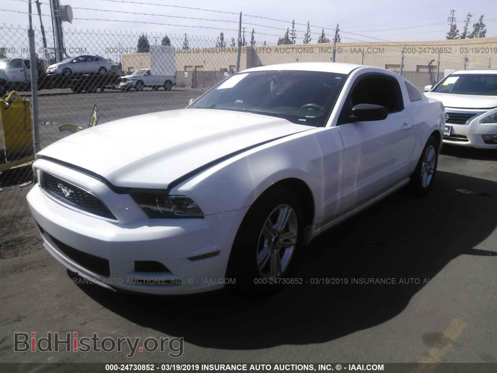 2013 FORD MUSTANG - VIN: 1ZVBP8AM8D5259586 - Фото 2