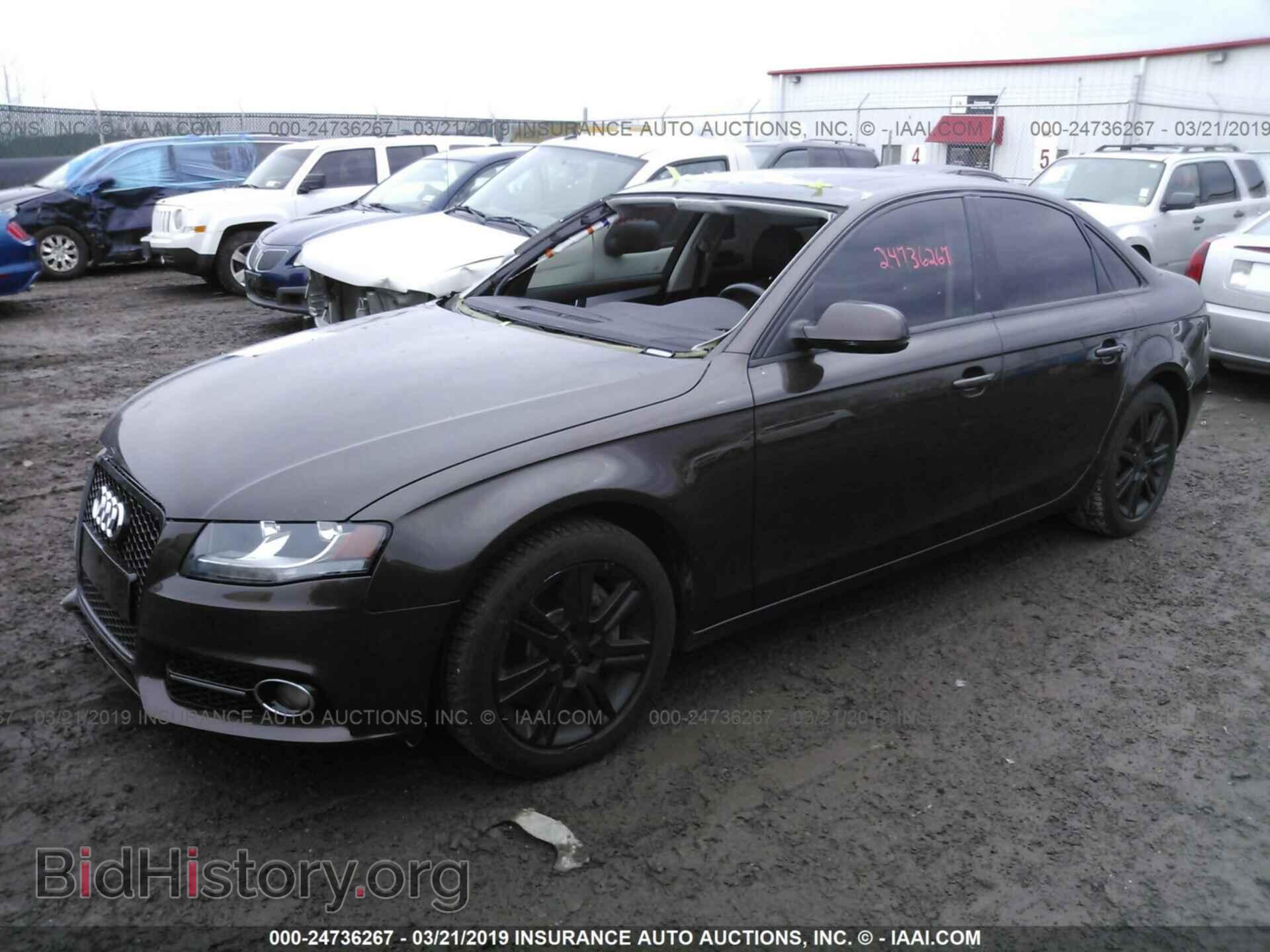 2011 AUDI A4 - VIN: WAUBFAFL0BN052732 - Фото 2