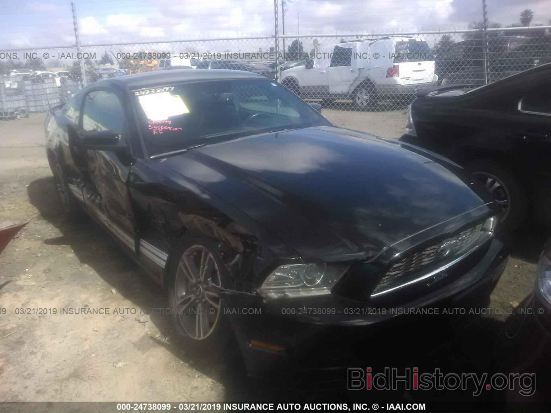 Photo 1ZVBP8AM3D5209954 - FORD MUSTANG 2013