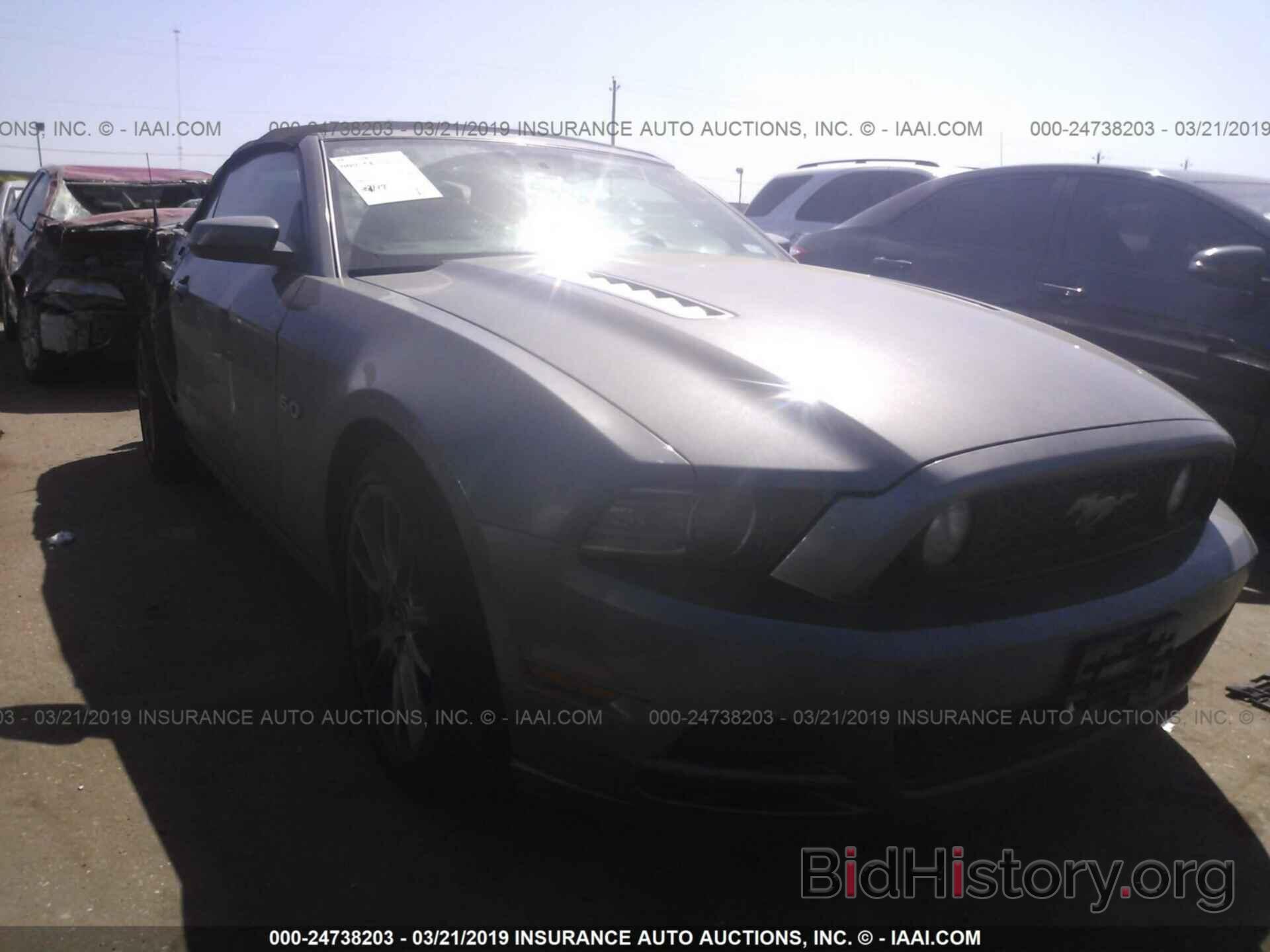 Photo 1ZVBP8FF6D5229206 - FORD MUSTANG 2013
