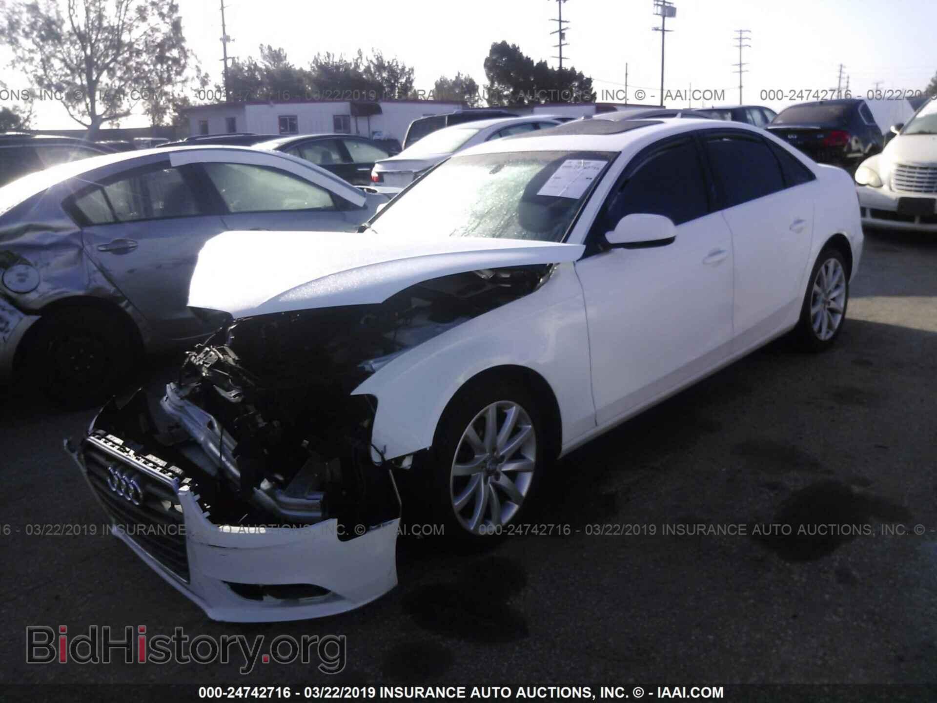2013 AUDI A4 - VIN: WAUEFAFL4DN026151 - Фото 2