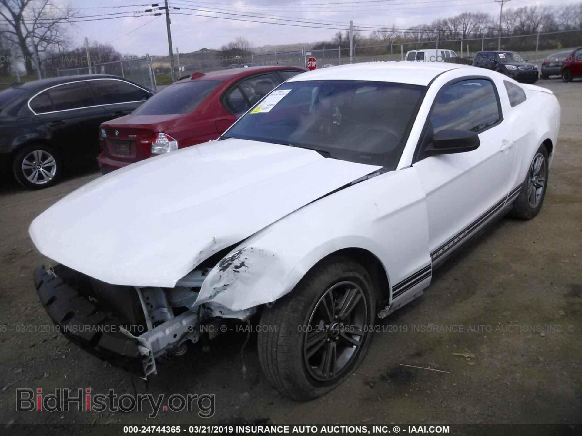 2010 FORD MUSTANG - VIN: 1ZVBP8AN8A5170055 - Фото 2