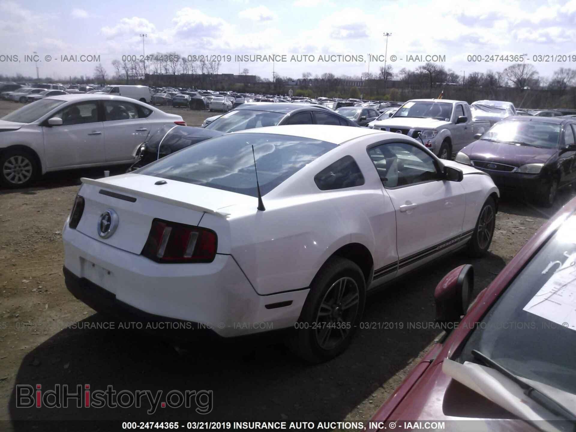 2010 FORD MUSTANG - VIN: 1ZVBP8AN8A5170055 - Фото 4