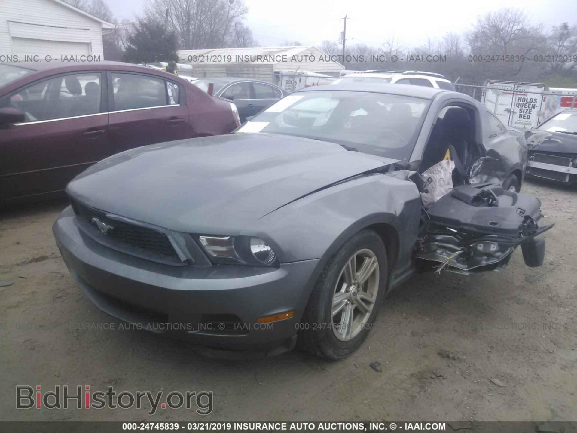 2011 FORD MUSTANG - VIN: 1ZVBP8AM8B5123830 - Фото 2