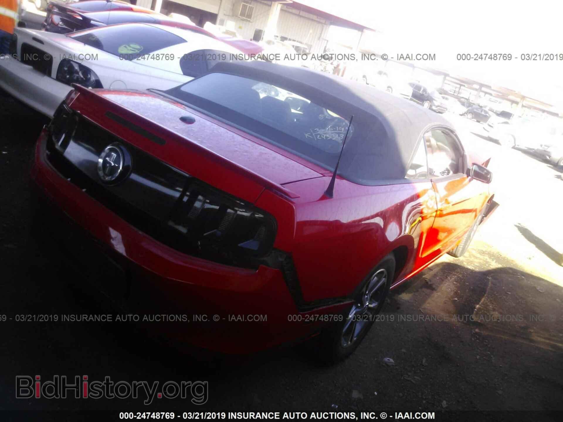 2014 FORD MUSTANG - VIN: 1ZVBP8EM9E5243697 - Фото 4