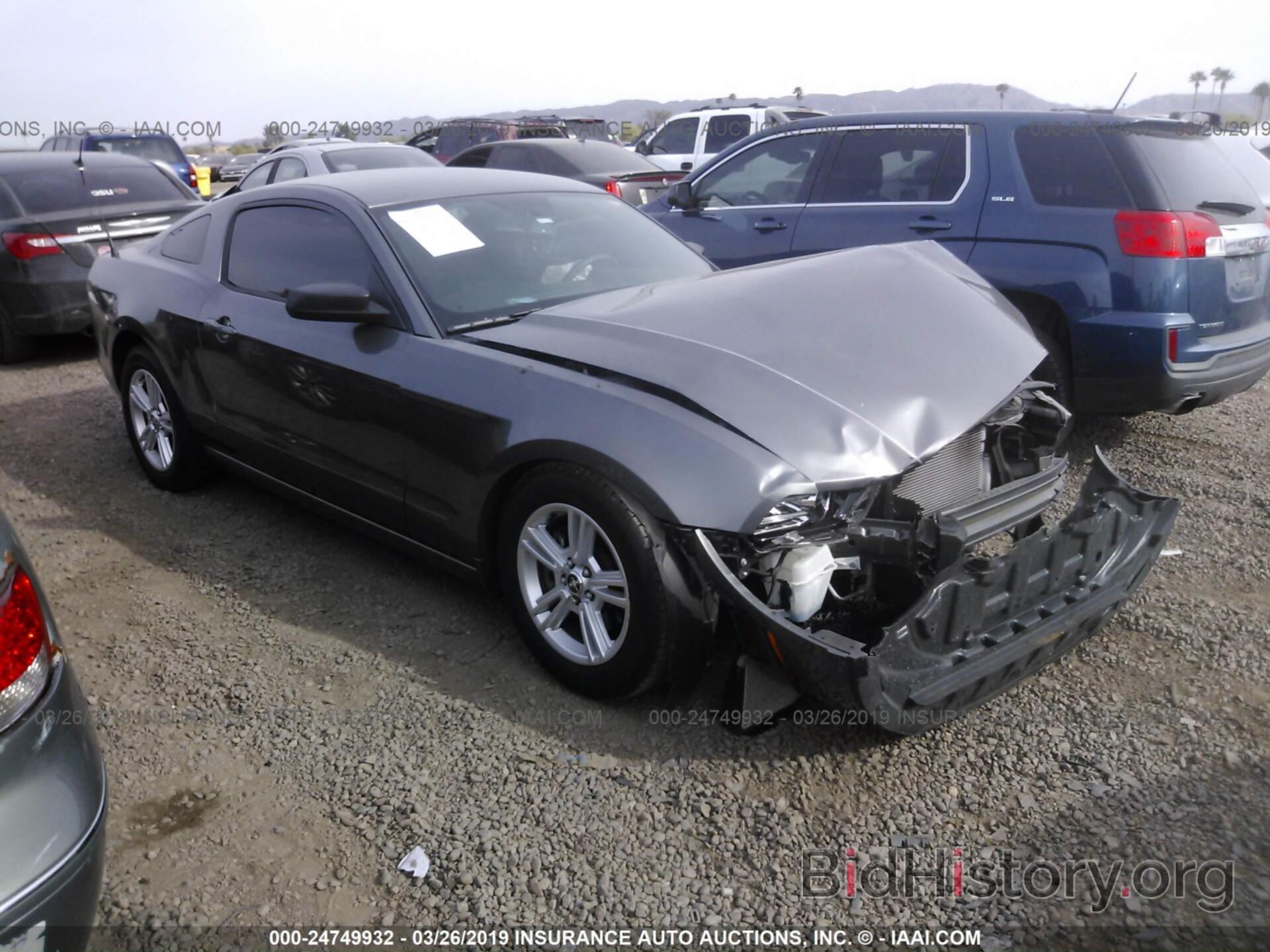 Photo 1ZVBP8AM8D5282608 - FORD MUSTANG 2013