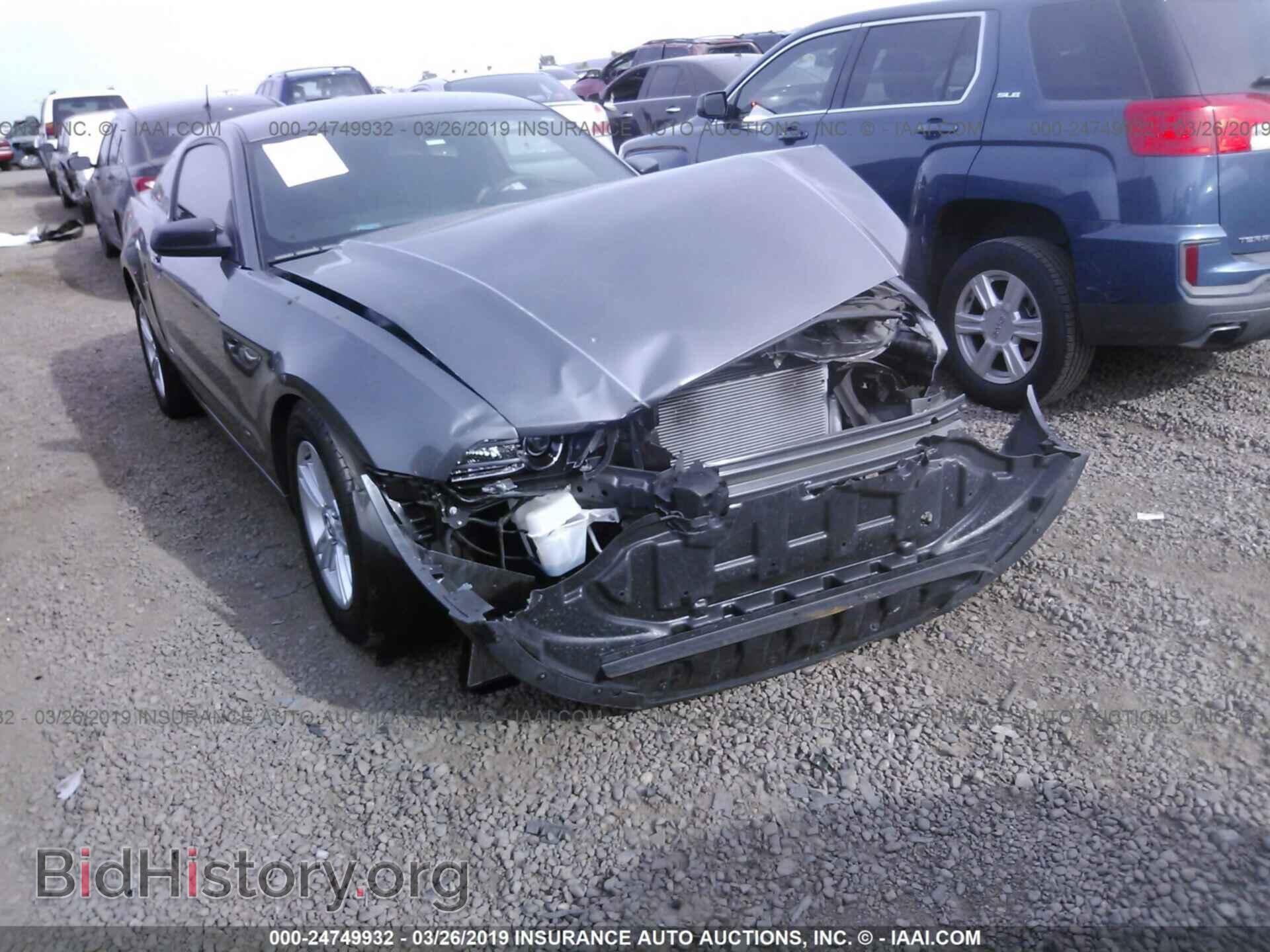2013 FORD MUSTANG - VIN: 1ZVBP8AM8D5282608 - Фото 6