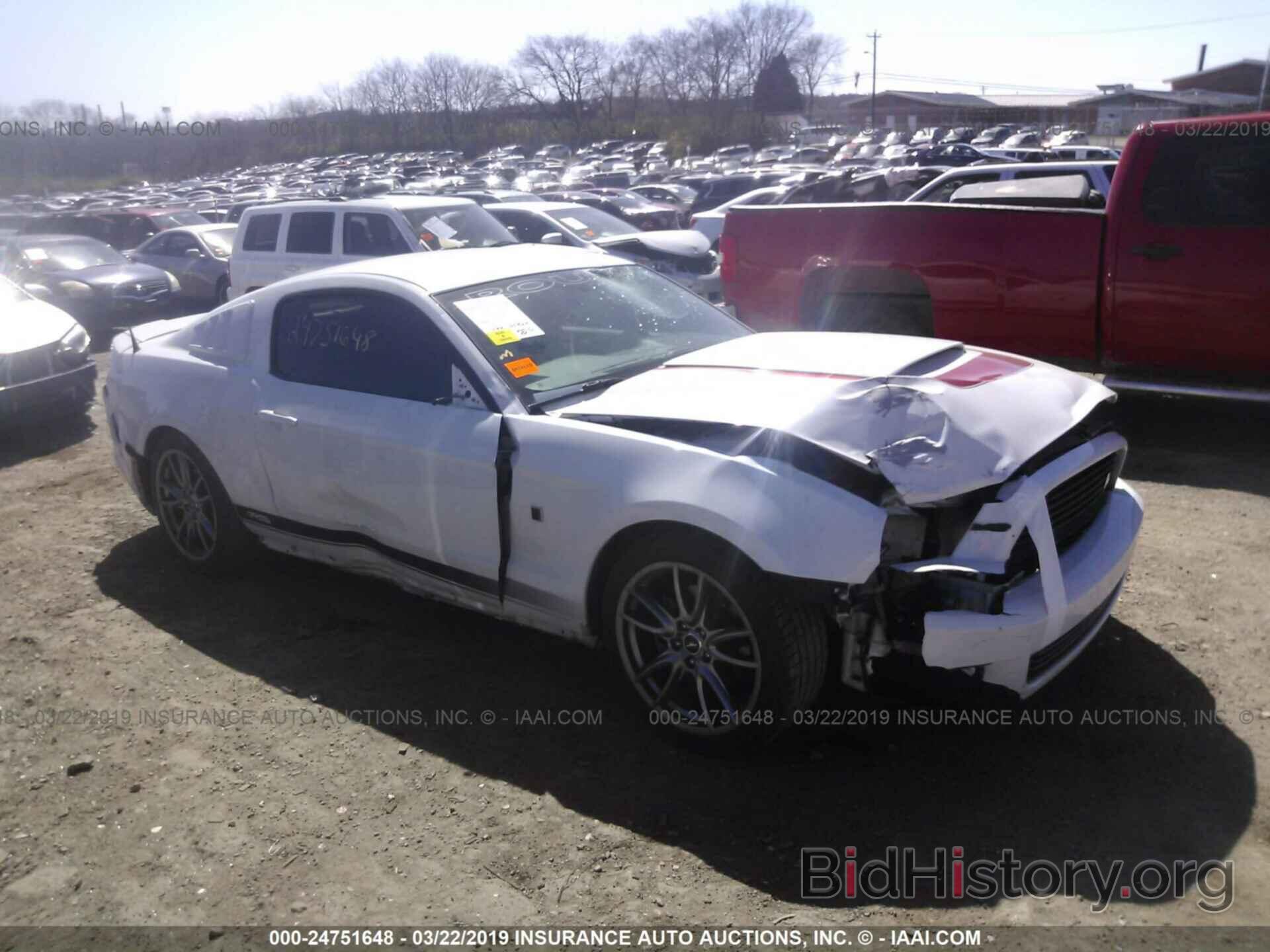 Photo 1ZVBP8AM5E5259661 - FORD MUSTANG 2014