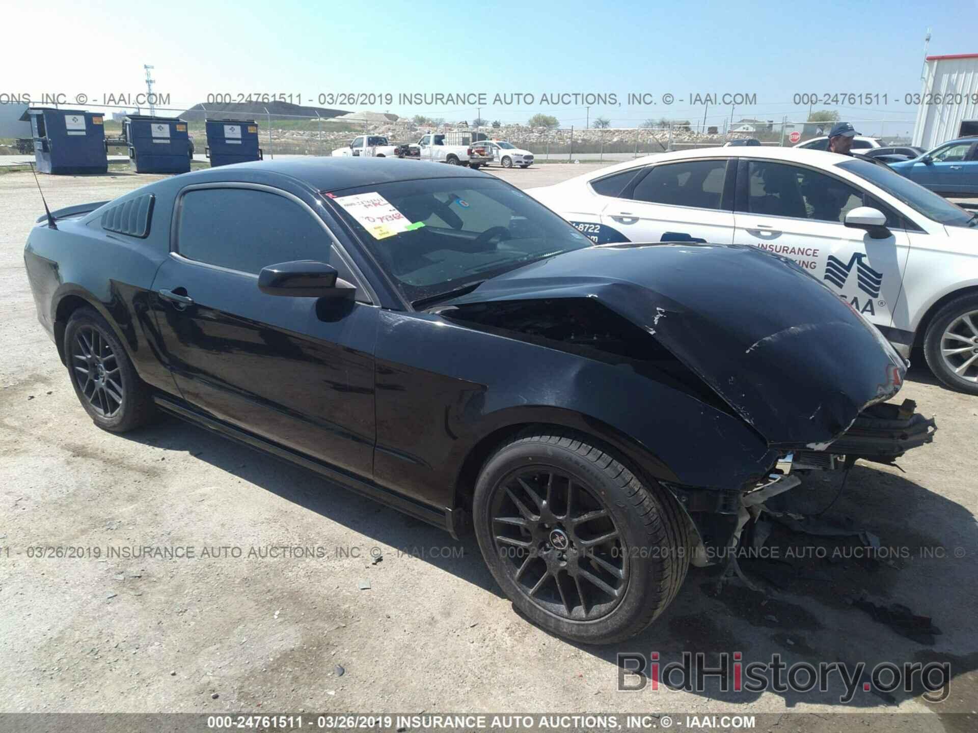 Photo 1ZVBP8AM4E5261935 - FORD MUSTANG 2014