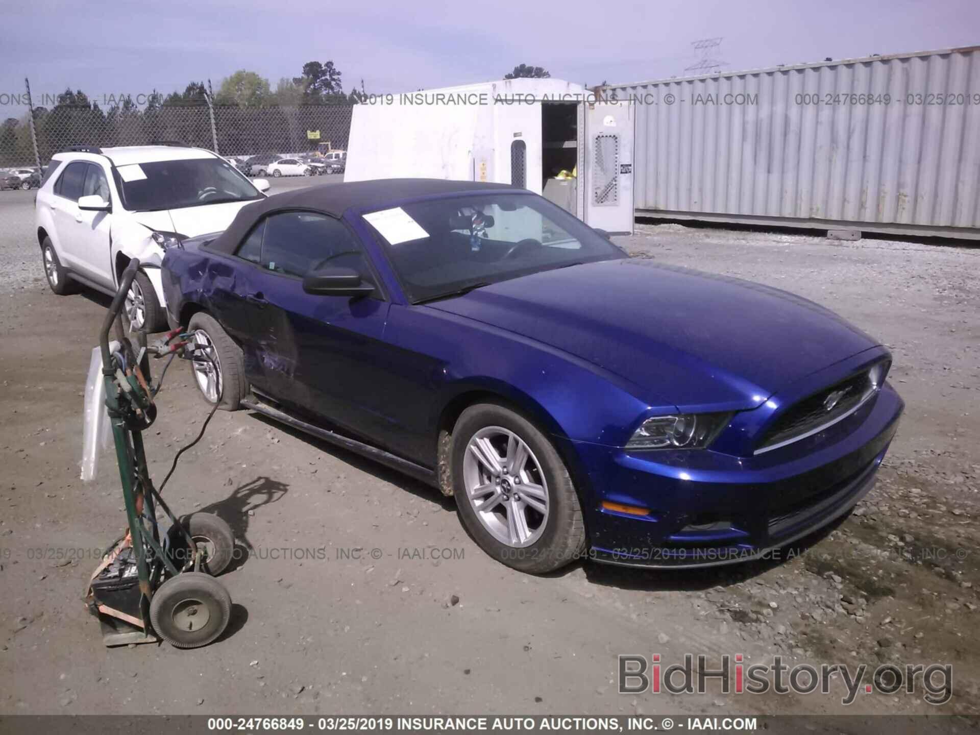 Photo 1ZVBP8EM3D5205090 - FORD MUSTANG 2013