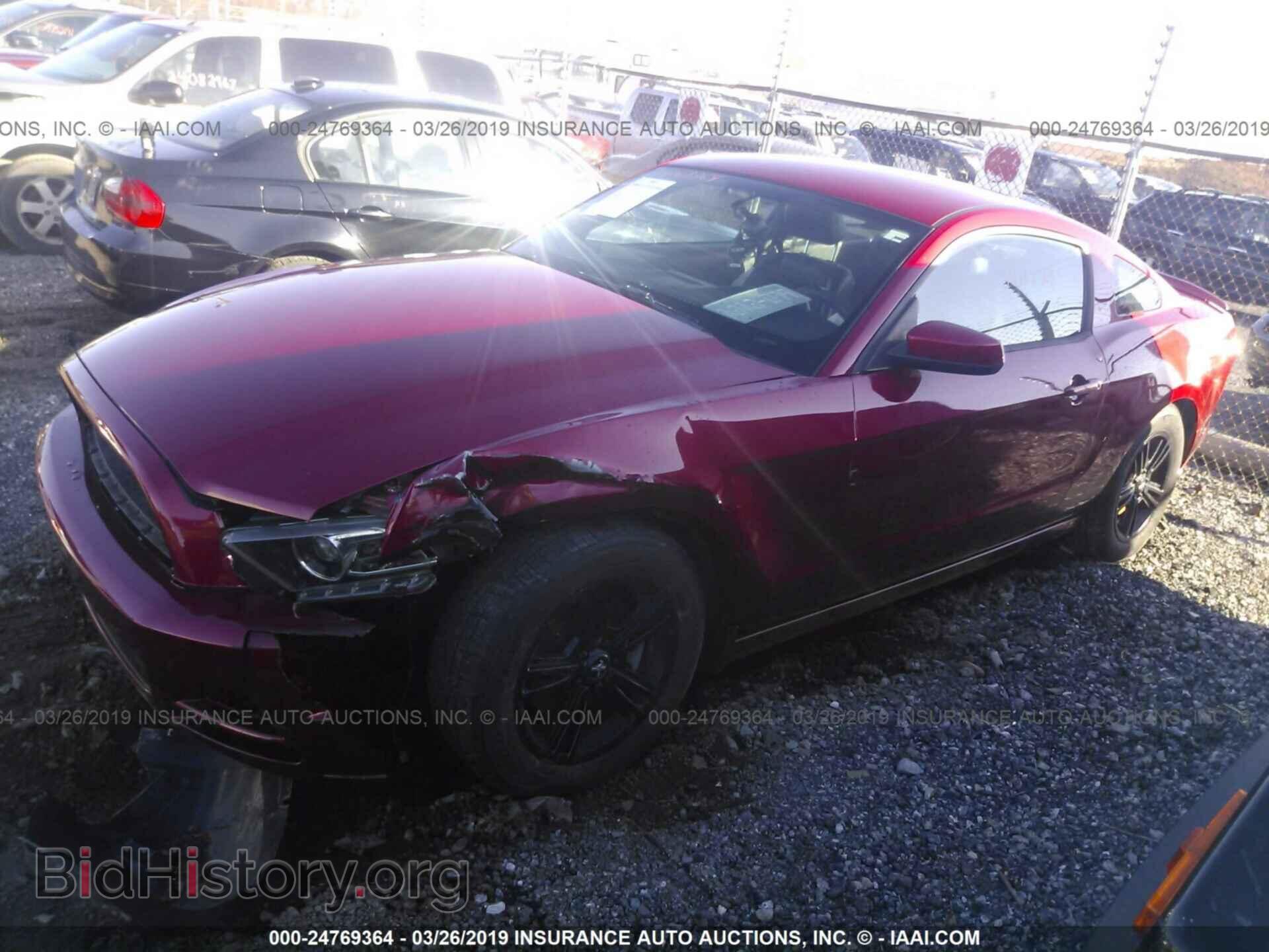 2013 FORD MUSTANG - VIN: 1ZVBP8AM5D5224911 - Фото 2