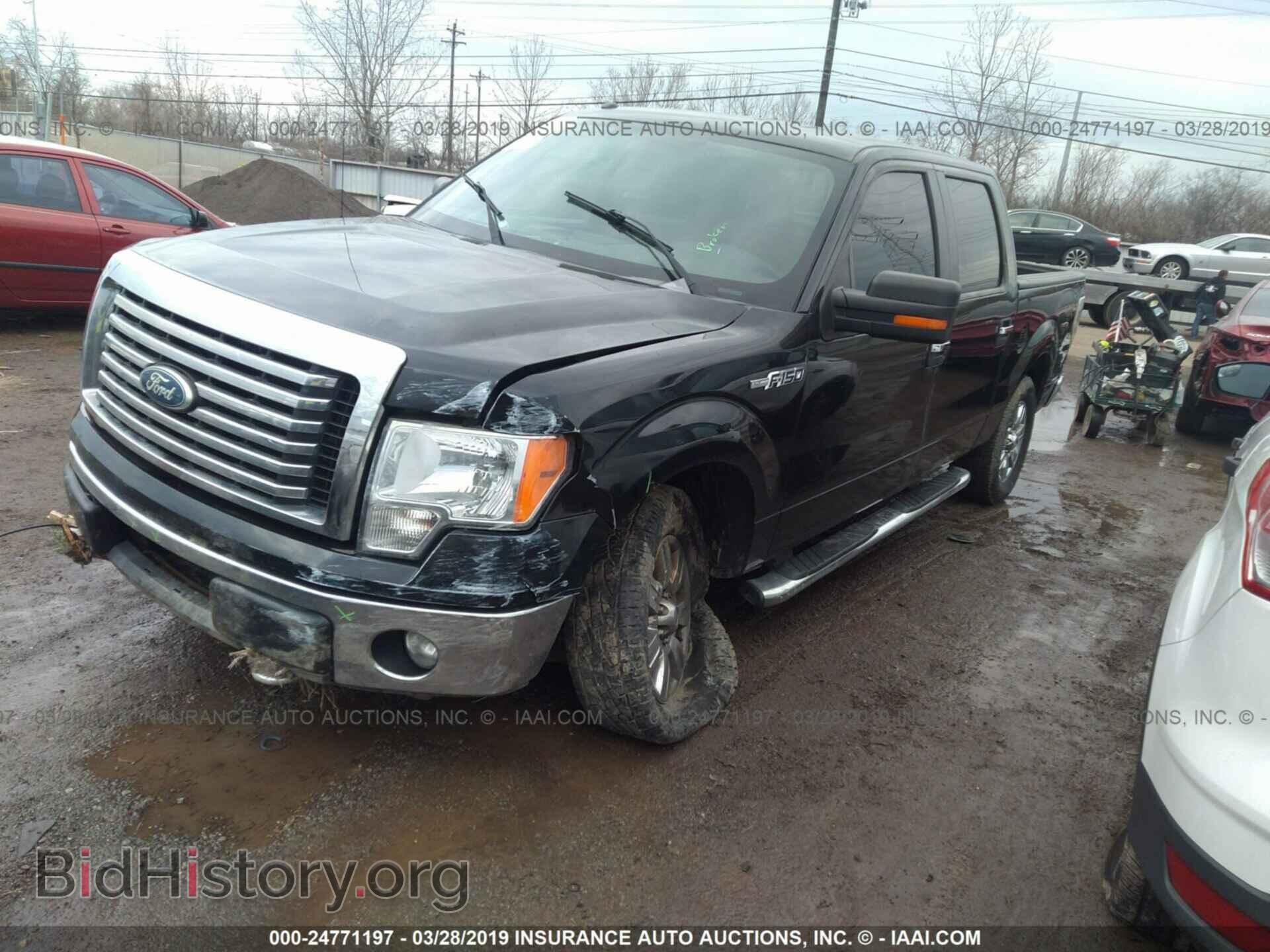 2011 FORD F150 - VIN: 1FTFW1EF4BFA38455 - Фото 2