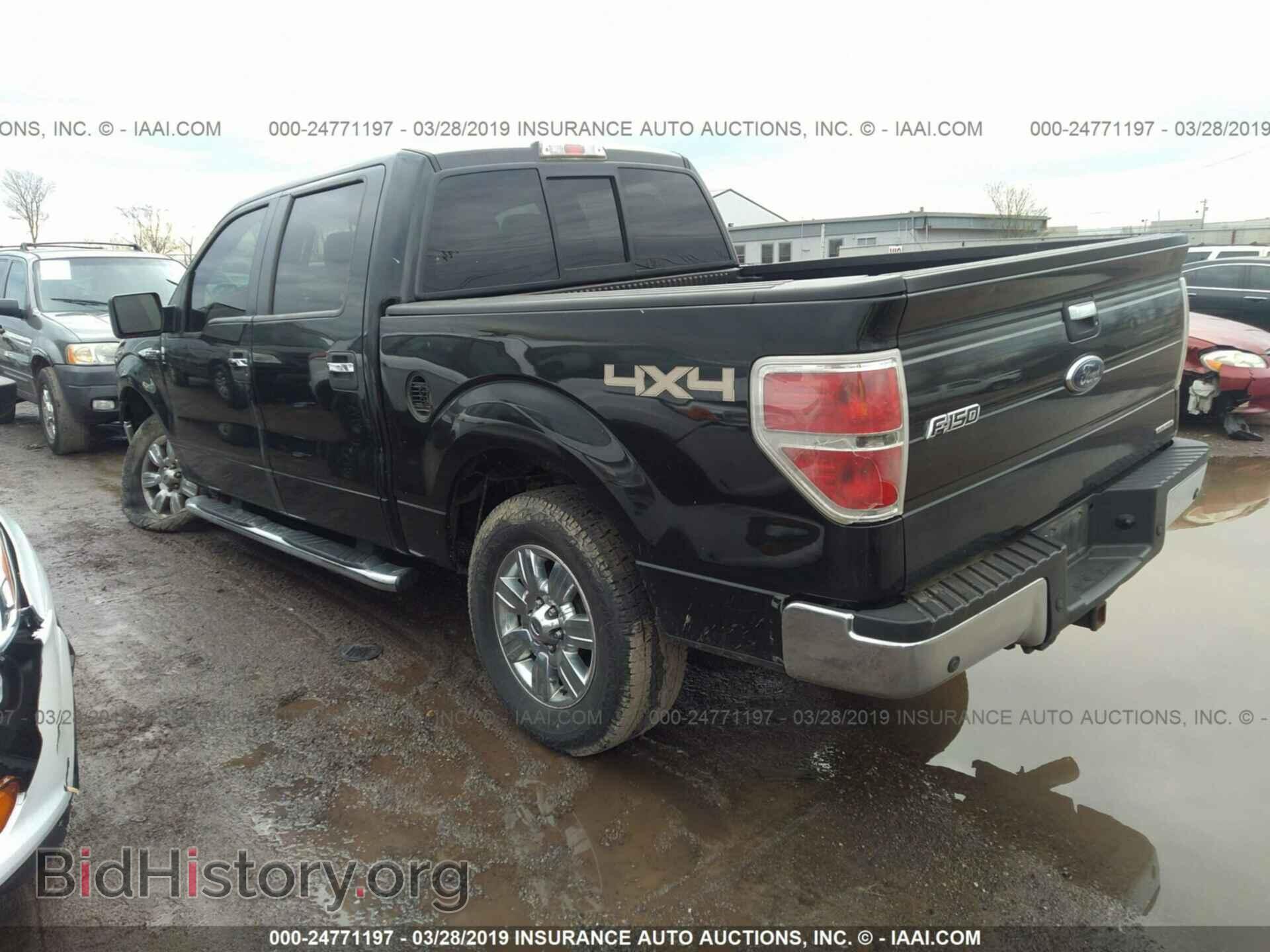 2011 FORD F150 - VIN: 1FTFW1EF4BFA38455 - Фото 3