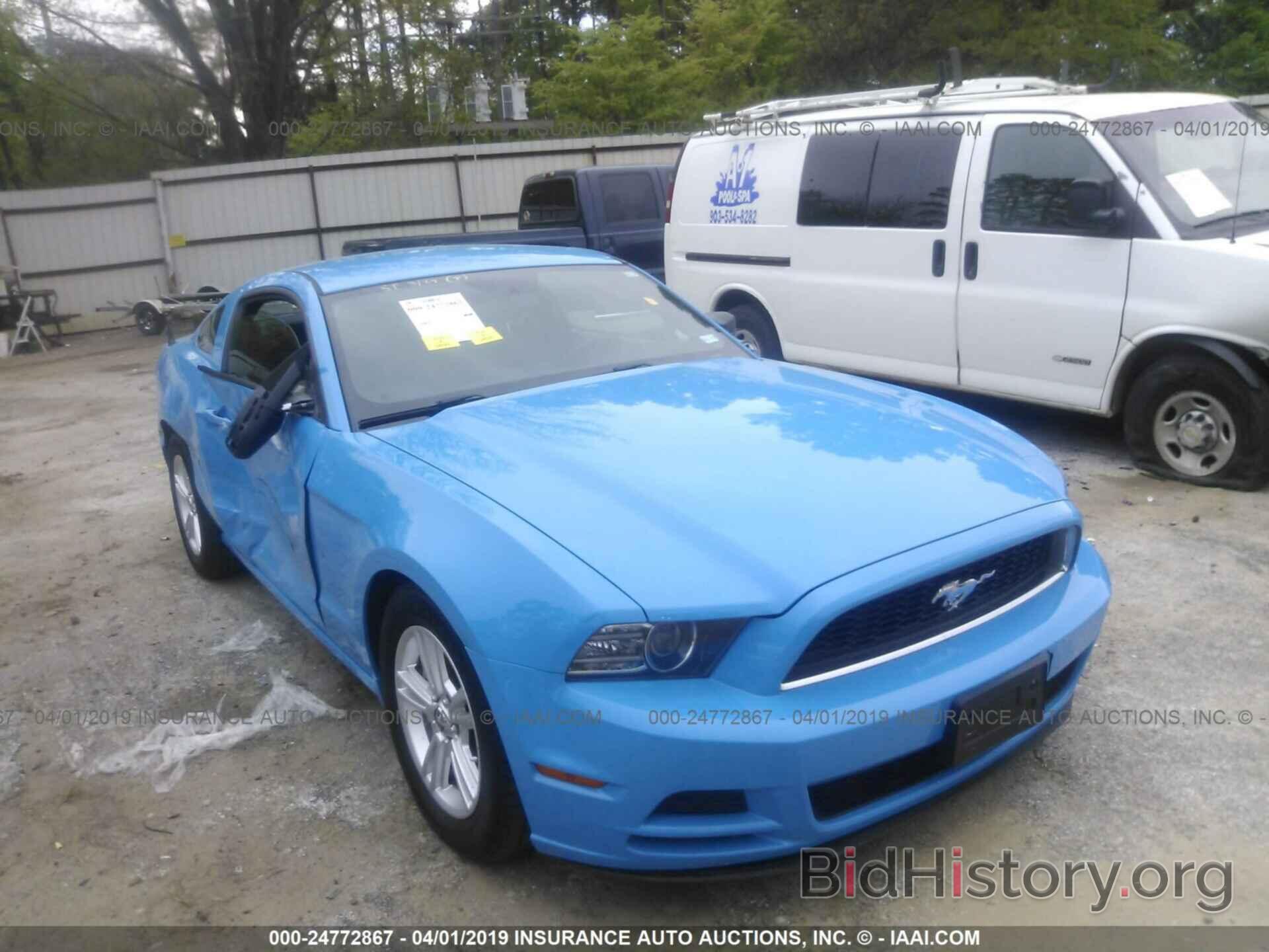 Photo 1ZVBP8AM3E5233608 - FORD MUSTANG 2014
