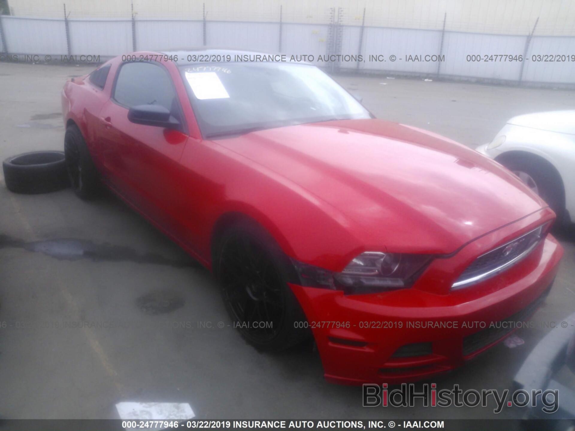 Photo 1ZVBP8AM3E5242731 - FORD MUSTANG 2014