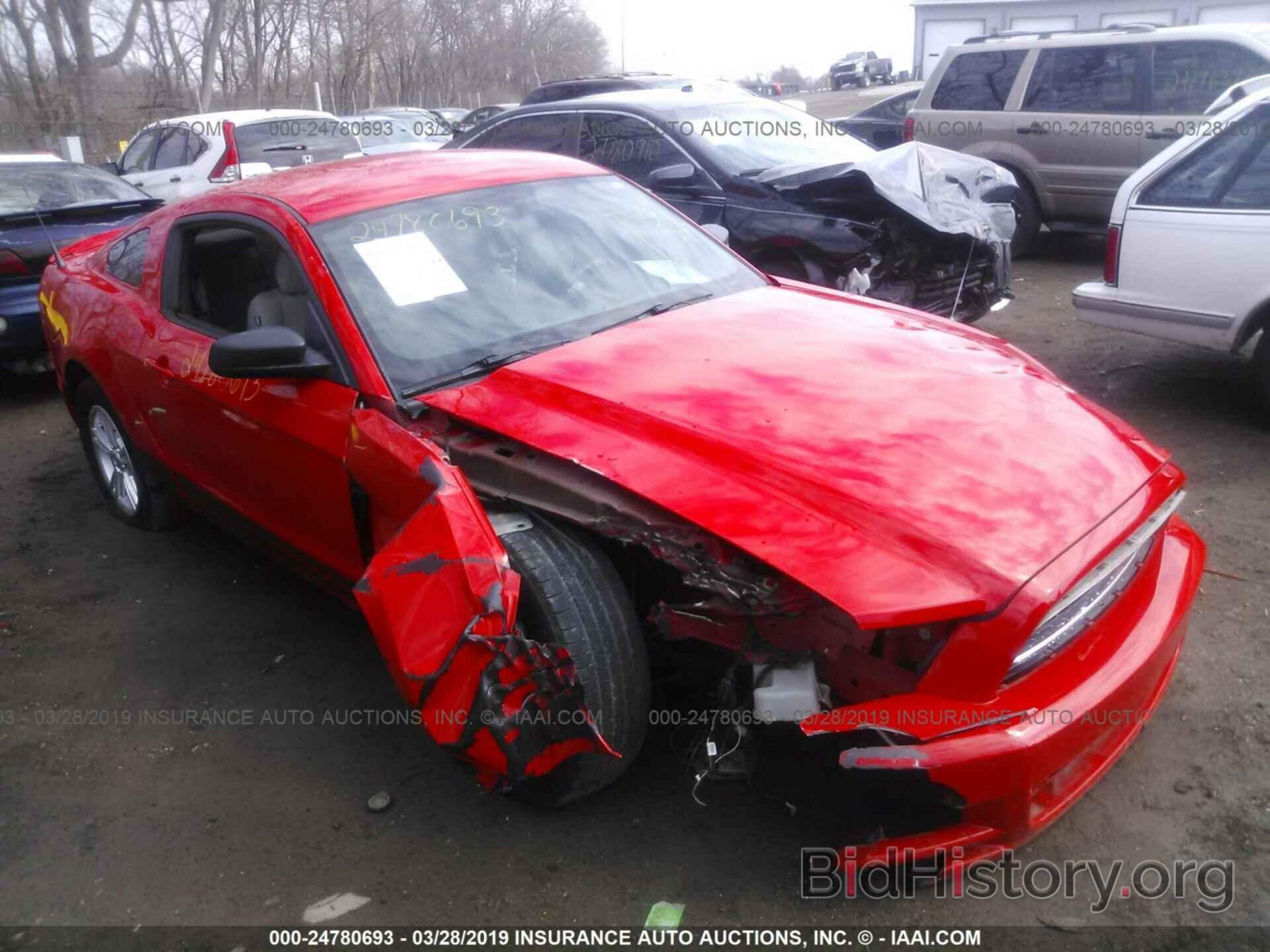 Photo 1ZVBP8AM2D5220430 - FORD MUSTANG 2013