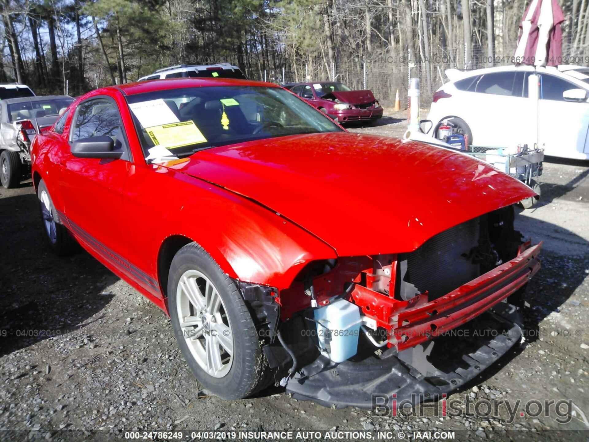 Photo 1ZVBP8AM8D5268756 - FORD MUSTANG 2013