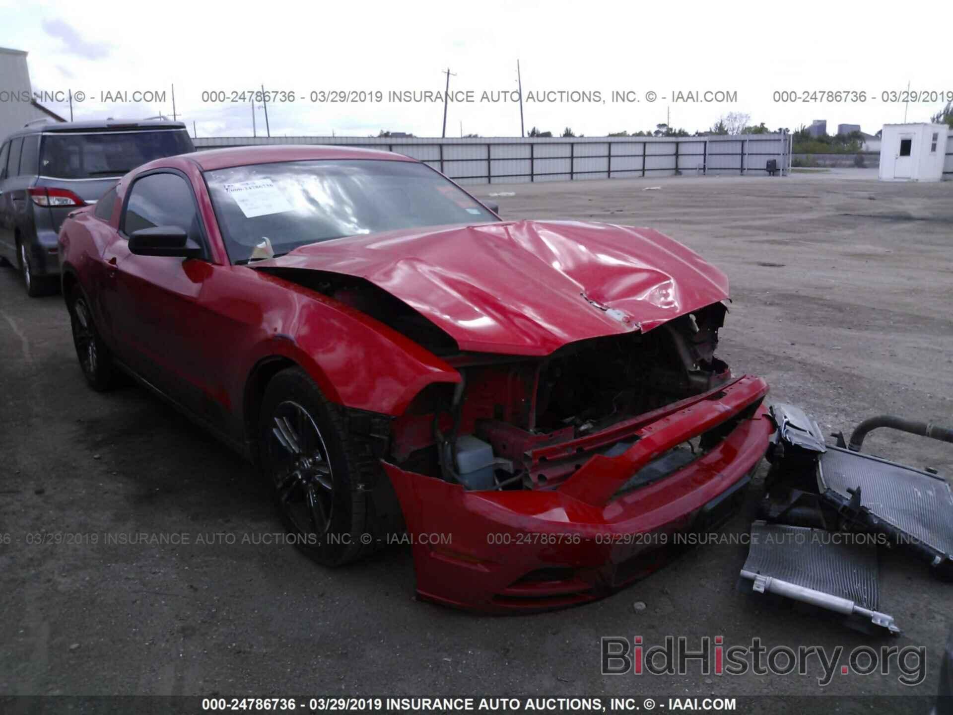 Photo 1ZVBP8AM5D5249632 - FORD MUSTANG 2013